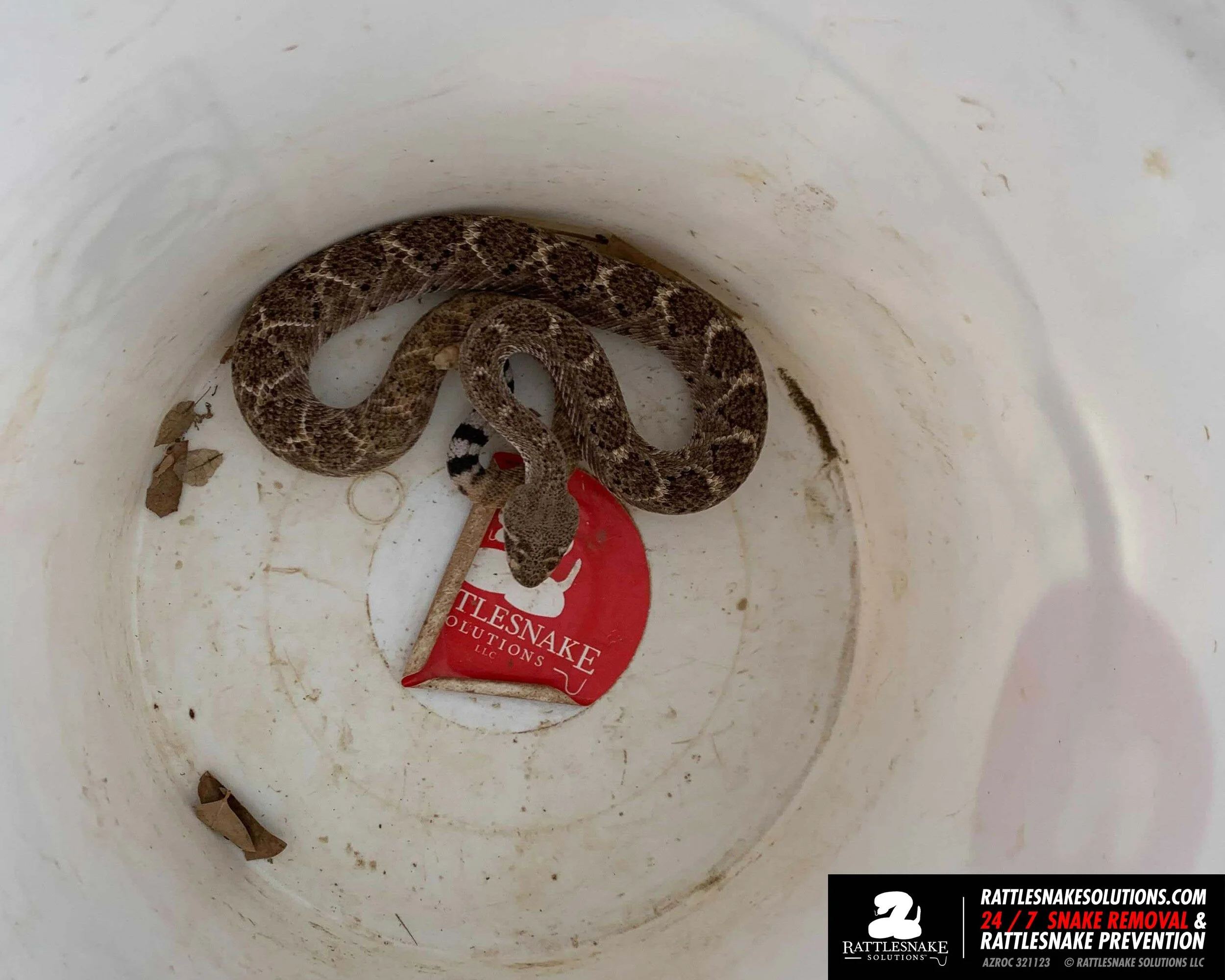 Image-from-iOS-(1) copy 3 2.jpg