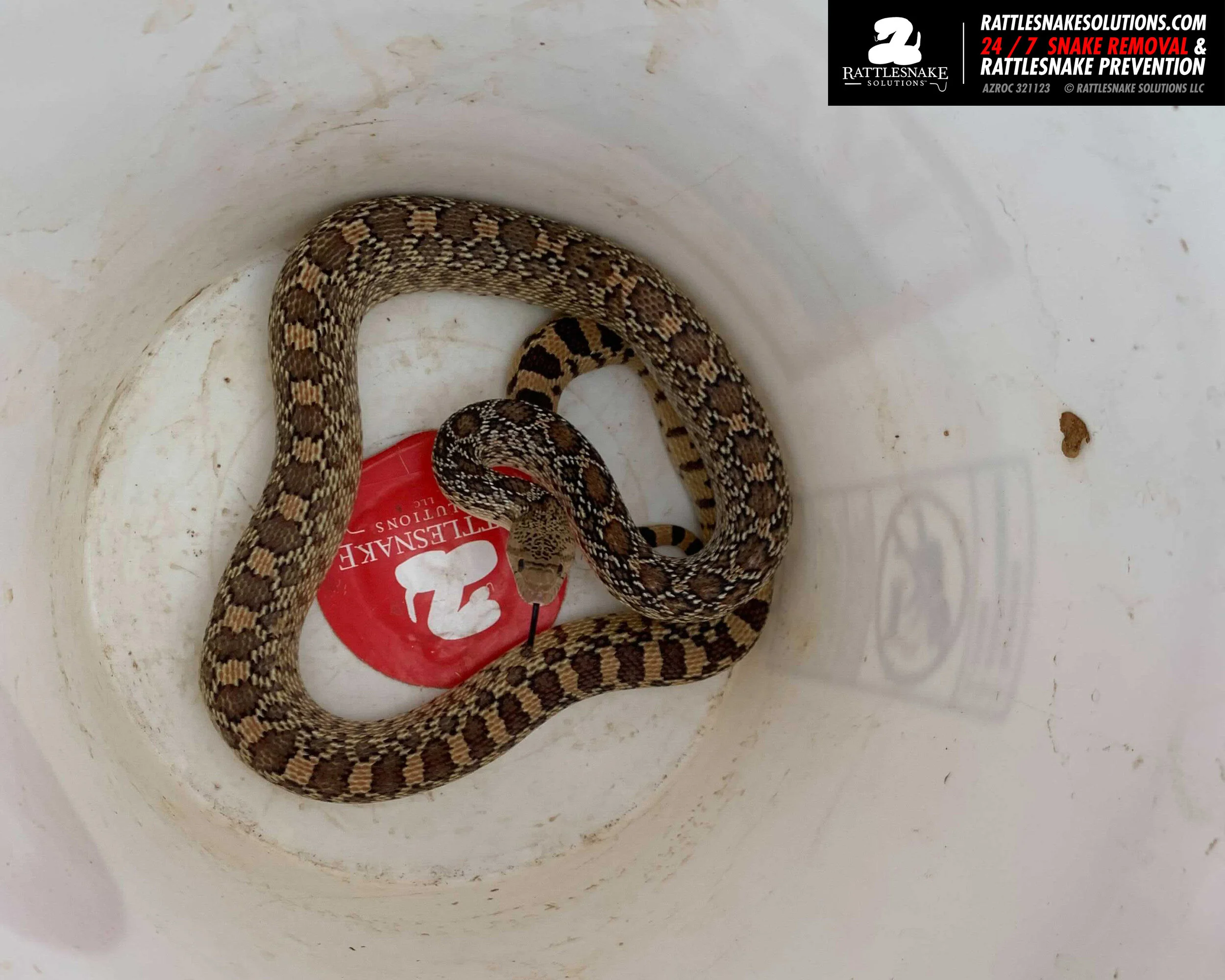 Image-from-iOS-(1) copy 3.jpg