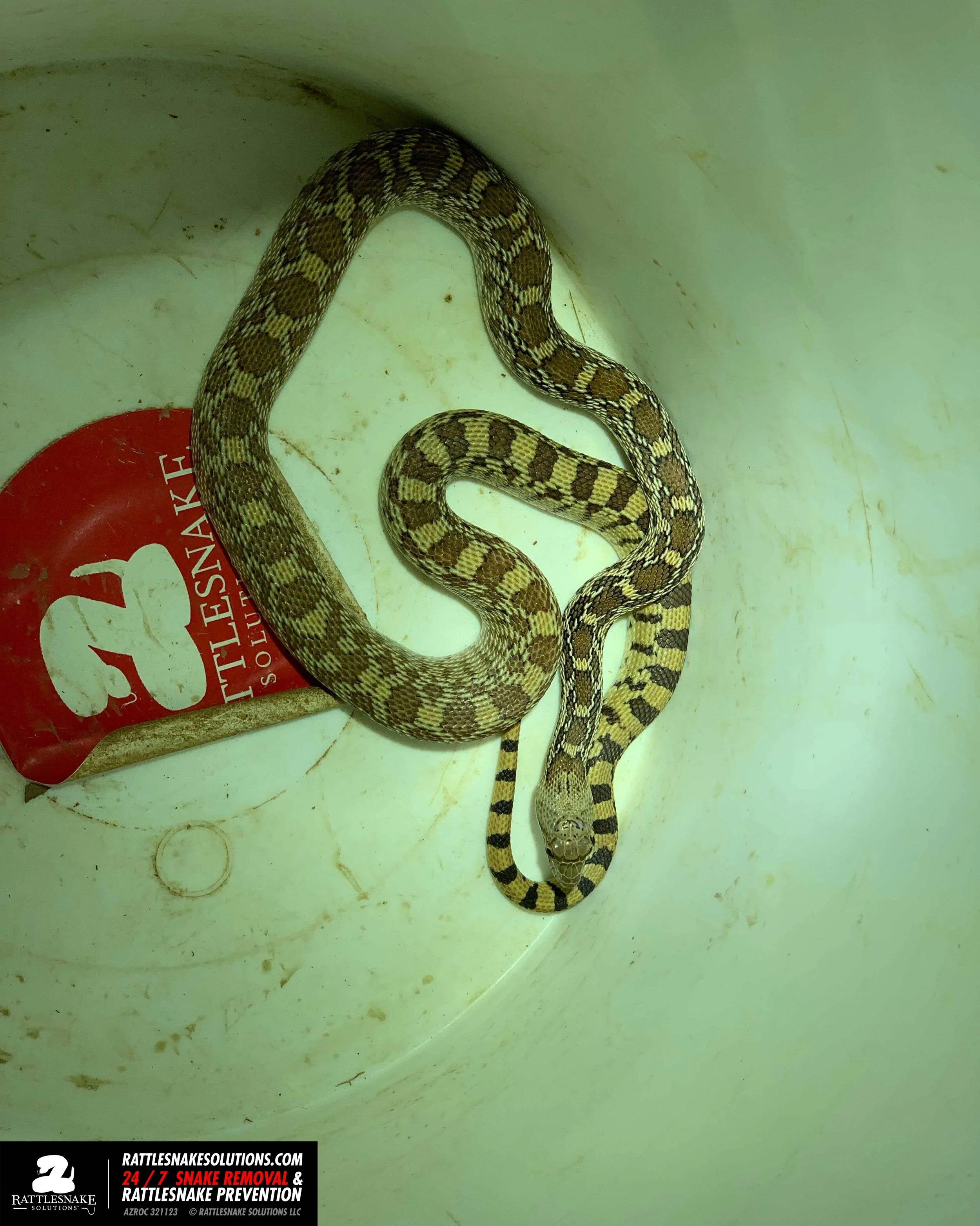 Image-from-iOS-(1) copy 4 2.jpg