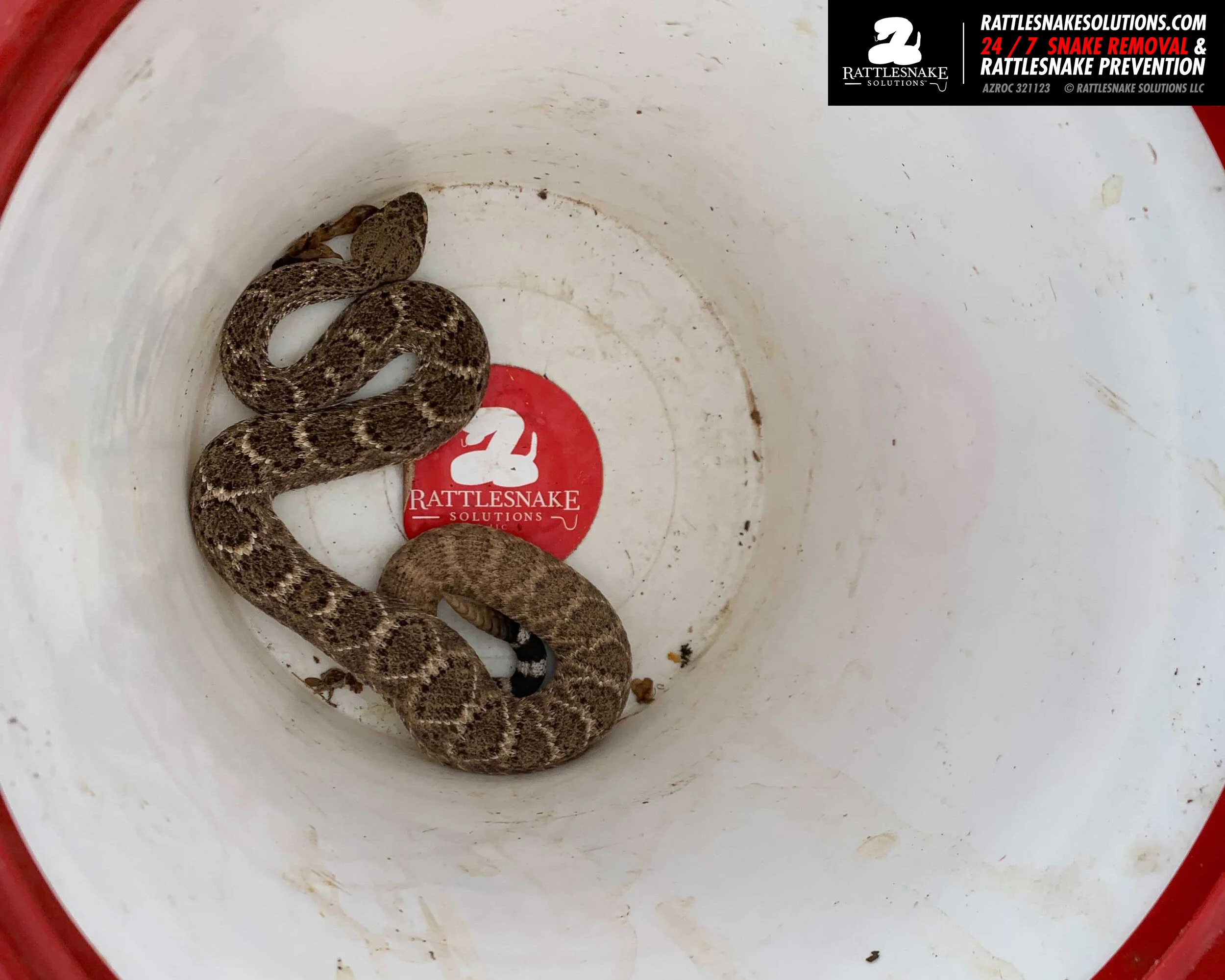 Image-from-iOS-(1) copy 4.jpg