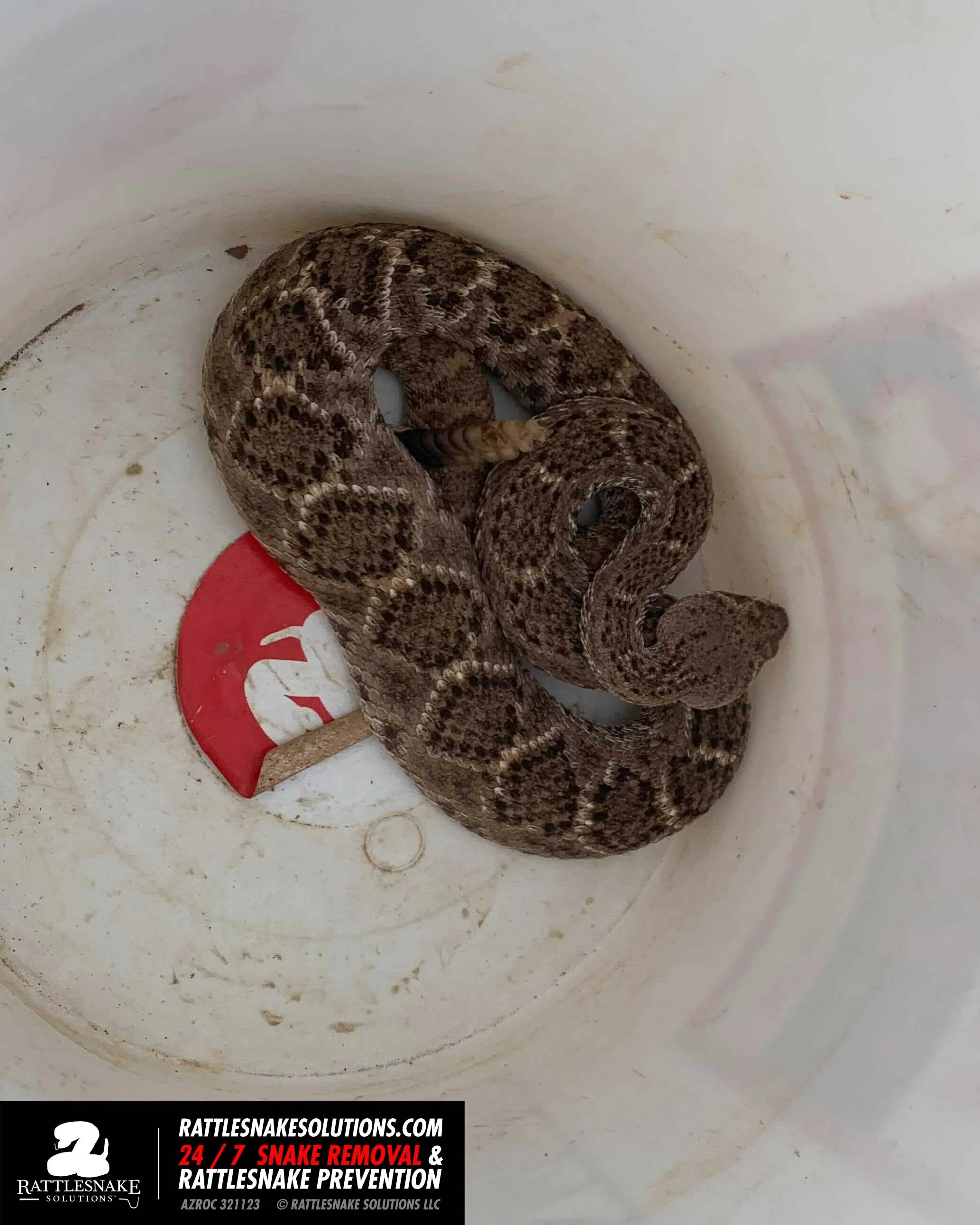 Image-from-iOS-(1) copy 5 2.jpg