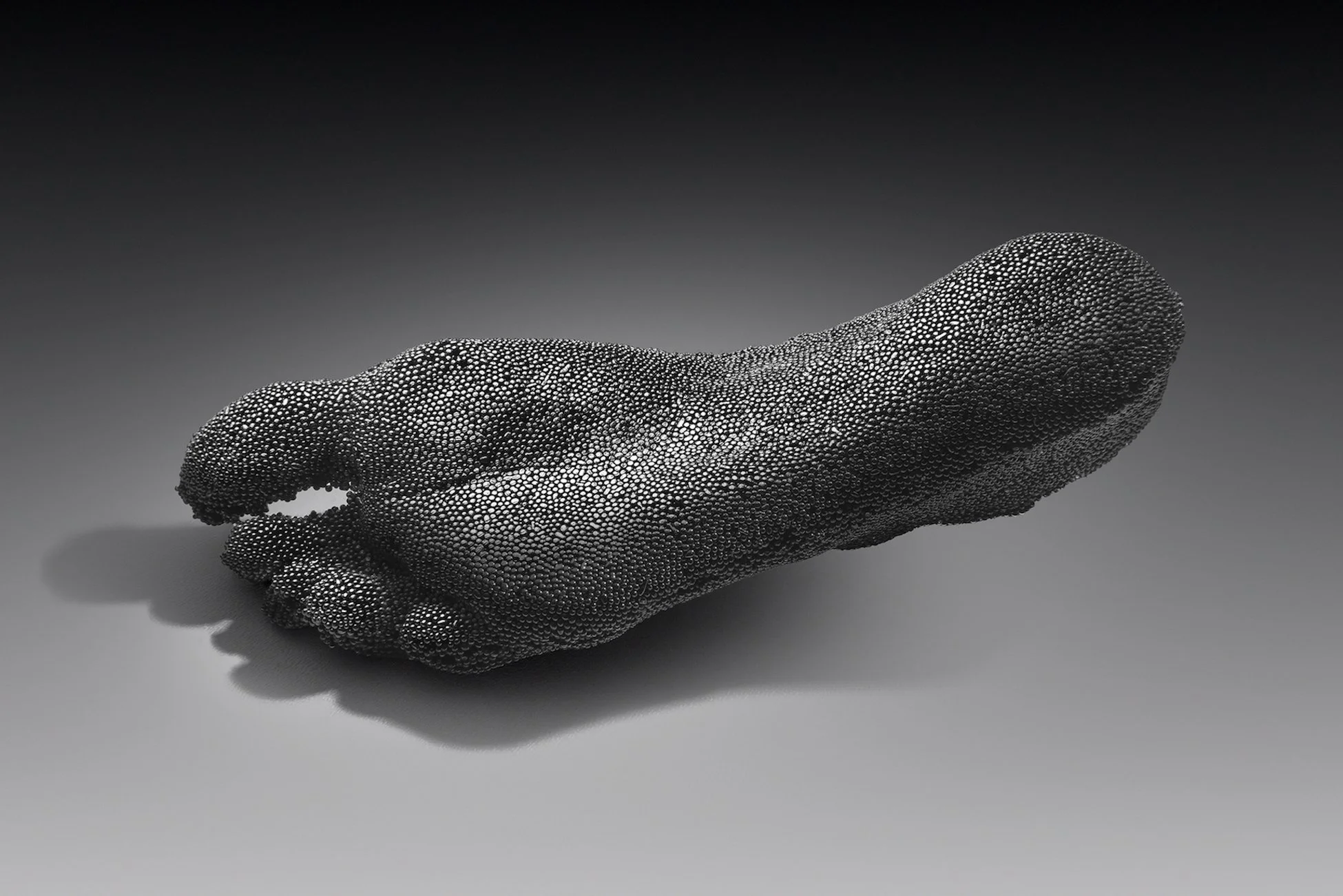 Planted_View 2_Terri_Grant web.jpg