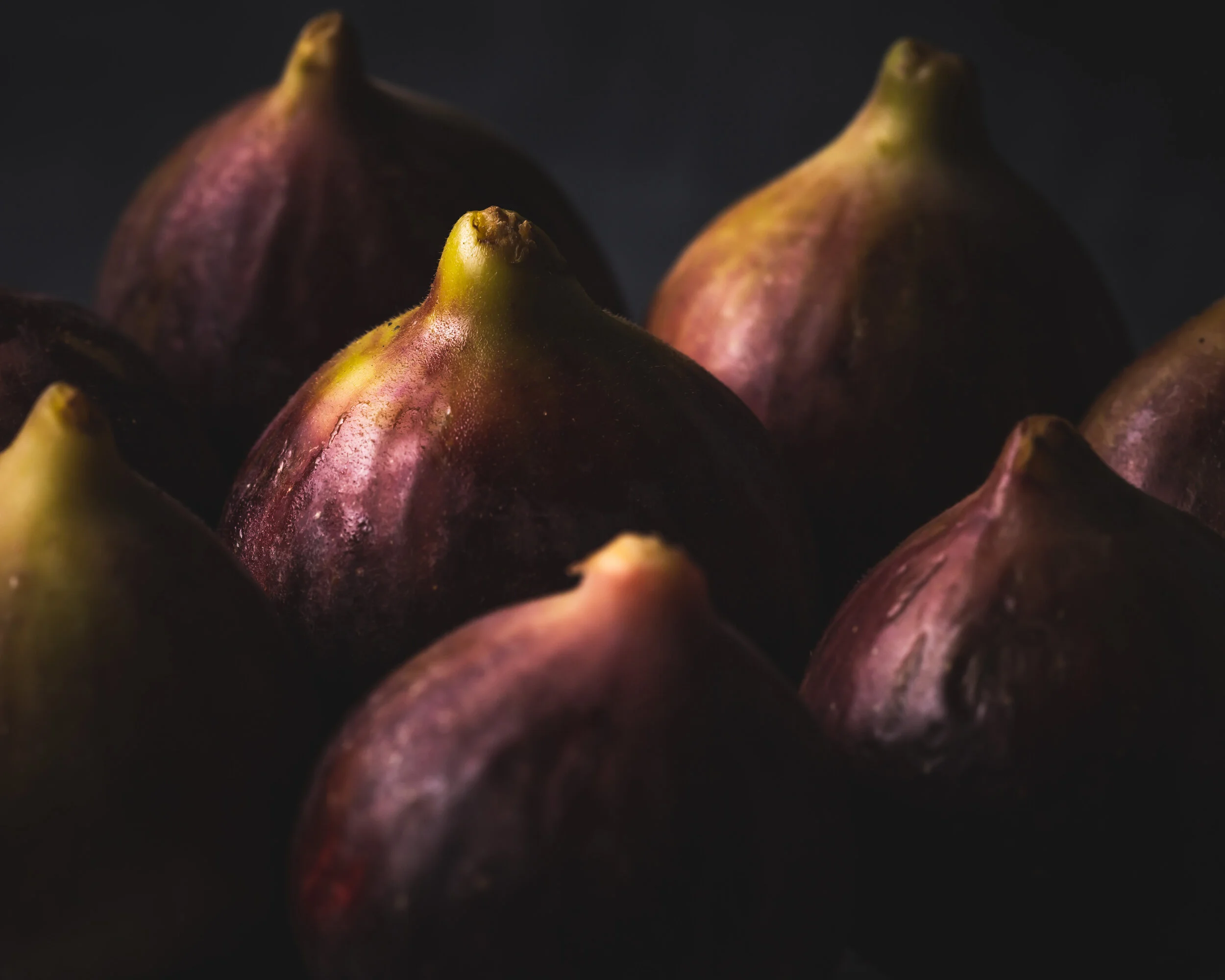 Figs-113.jpg