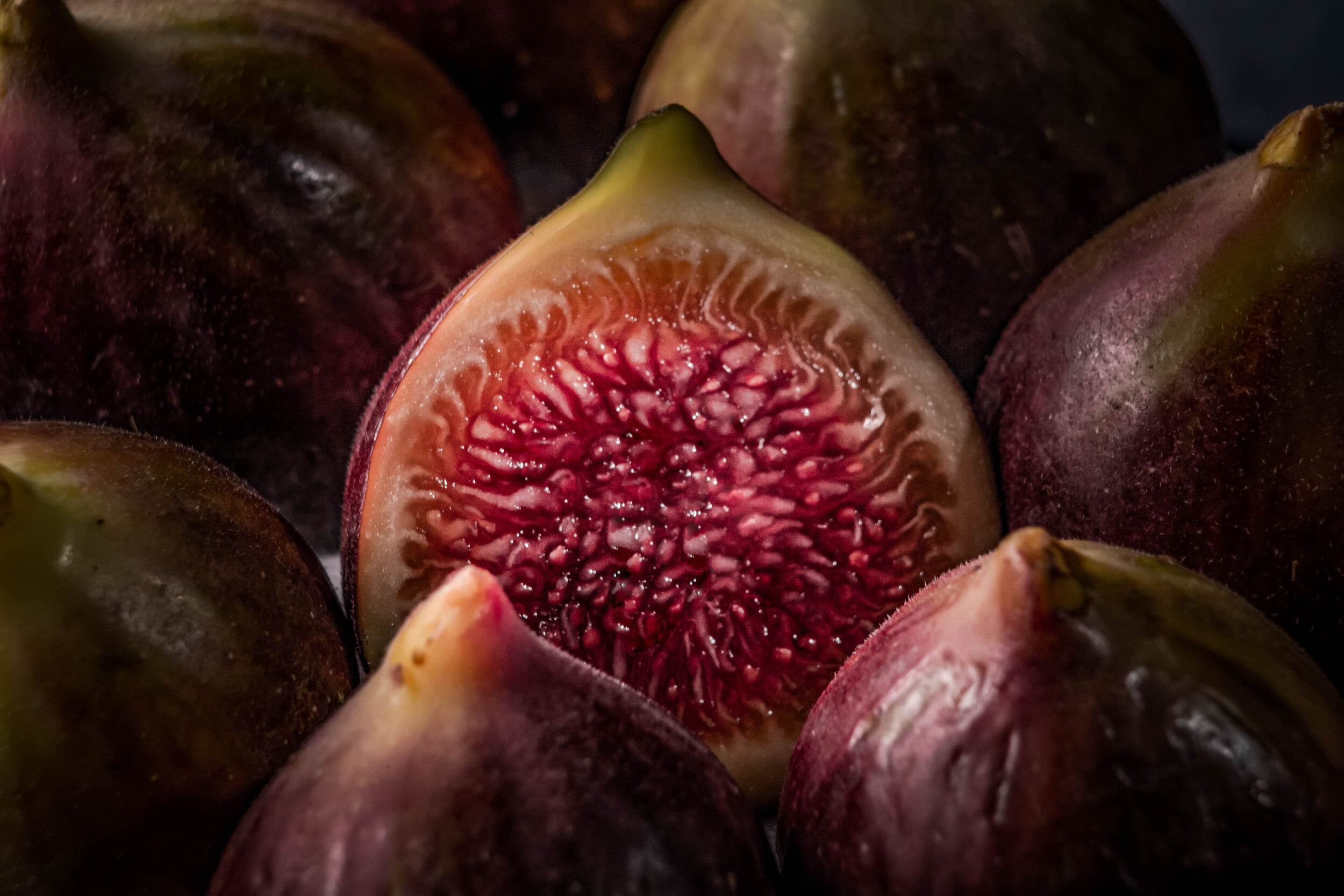 Figs-140-Edit.jpg