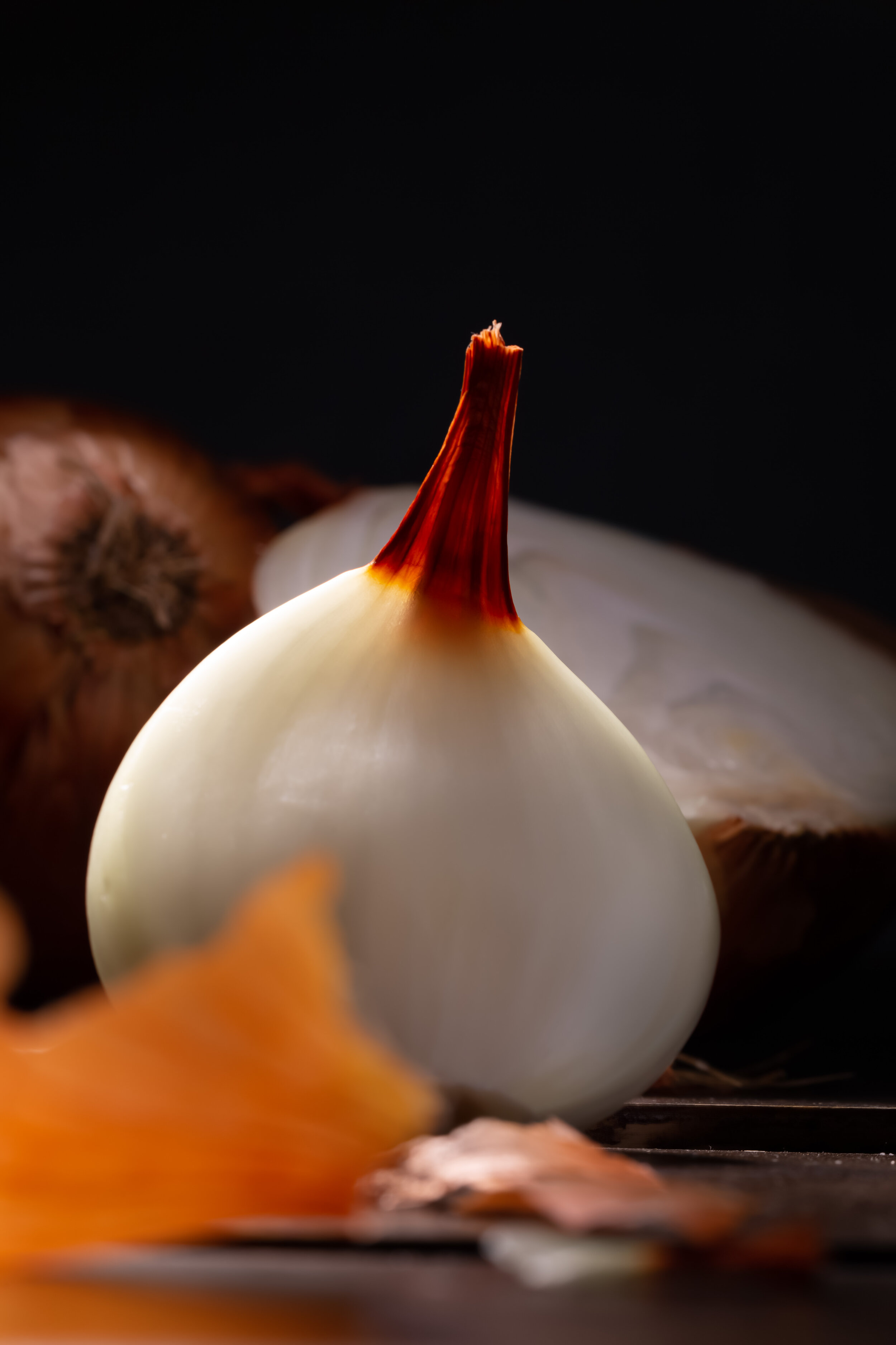 Onions-205-Edit.jpg