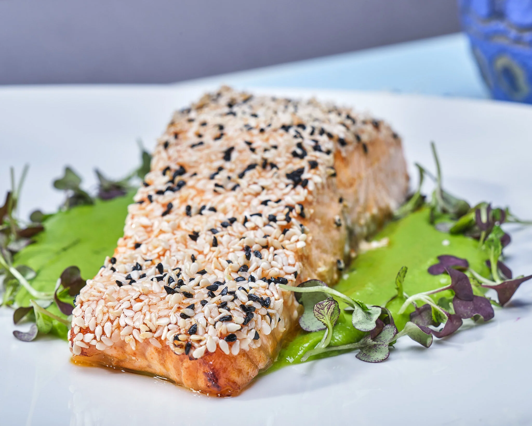 Salmon WithPuree 1.jpg