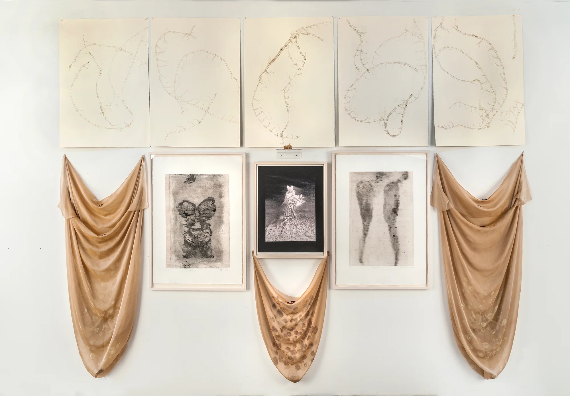 Transformation of Disassociation; Arising Female collagraphs, carborundum body prints, palladium print, drawing, hand rubbed relief prints, silk organza, dried rose, peonies and dried hydrangea rock crystal from my gardens