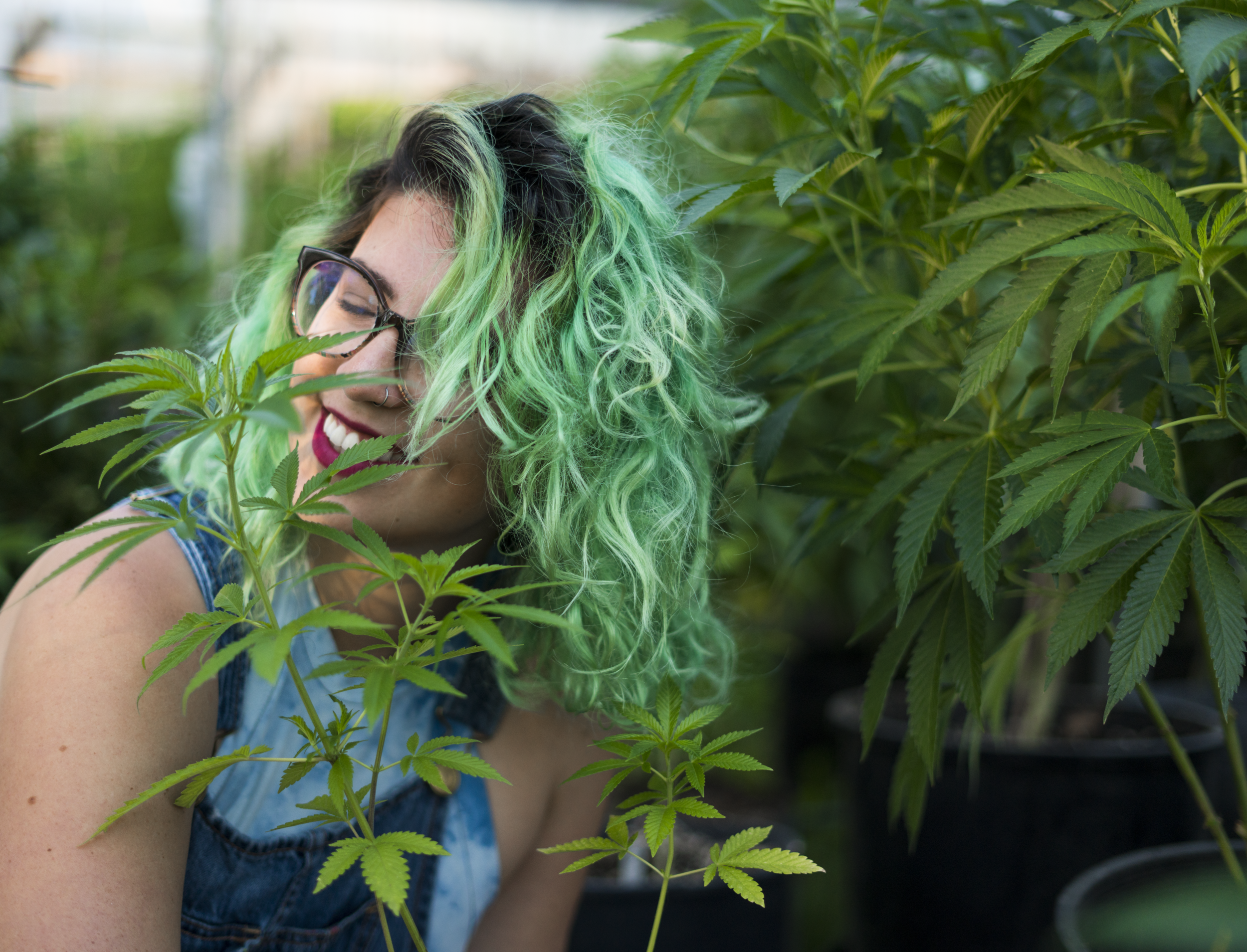 emma WEED AURAS 2017.png