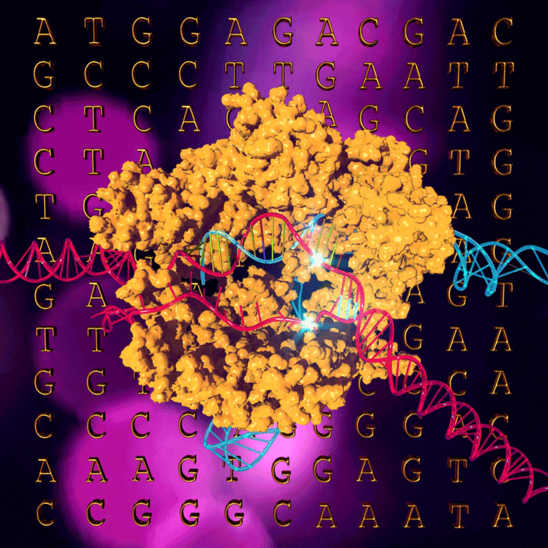 CRISPR-GIF.gif