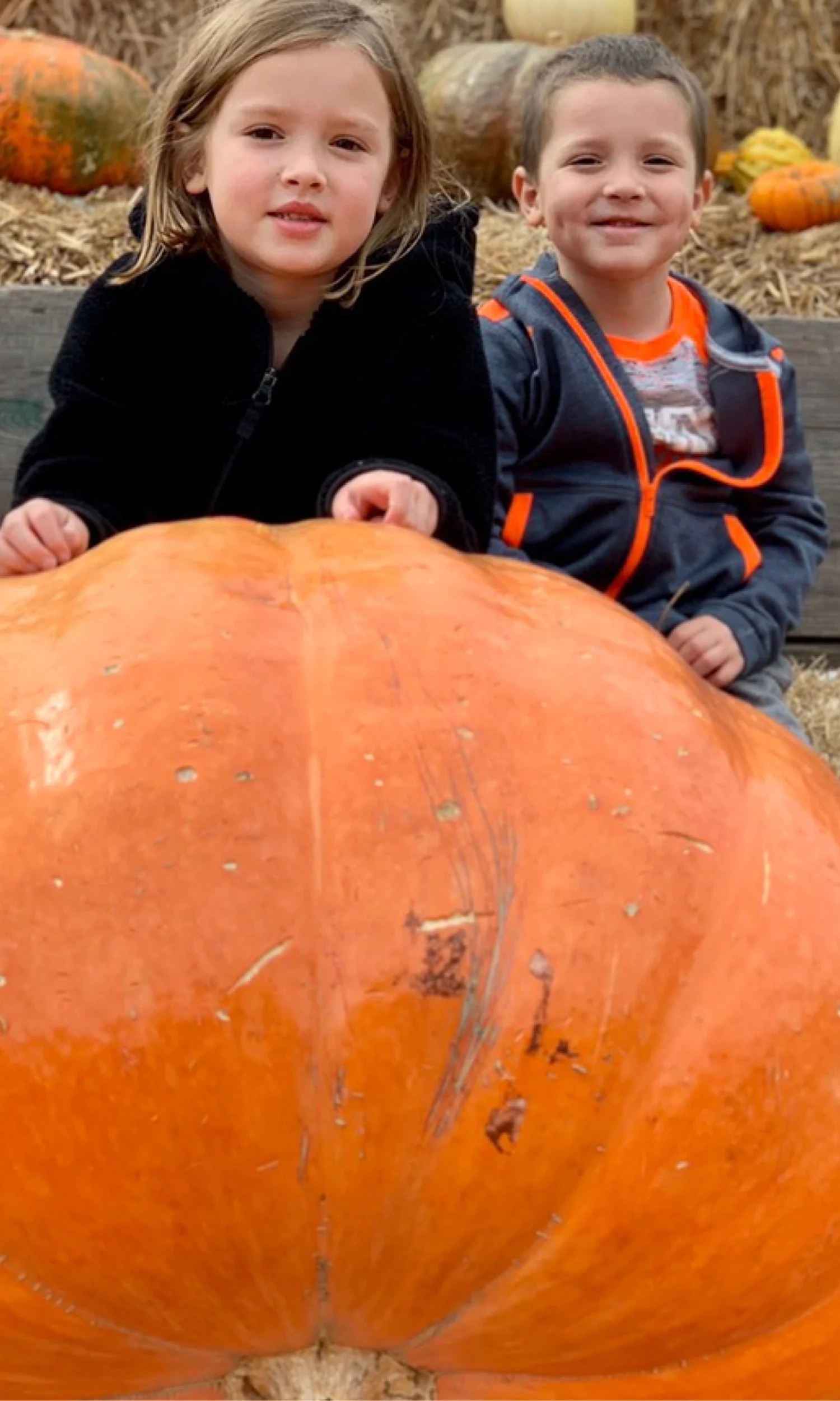 Boone Hall Plantation - Pumpkin Patch