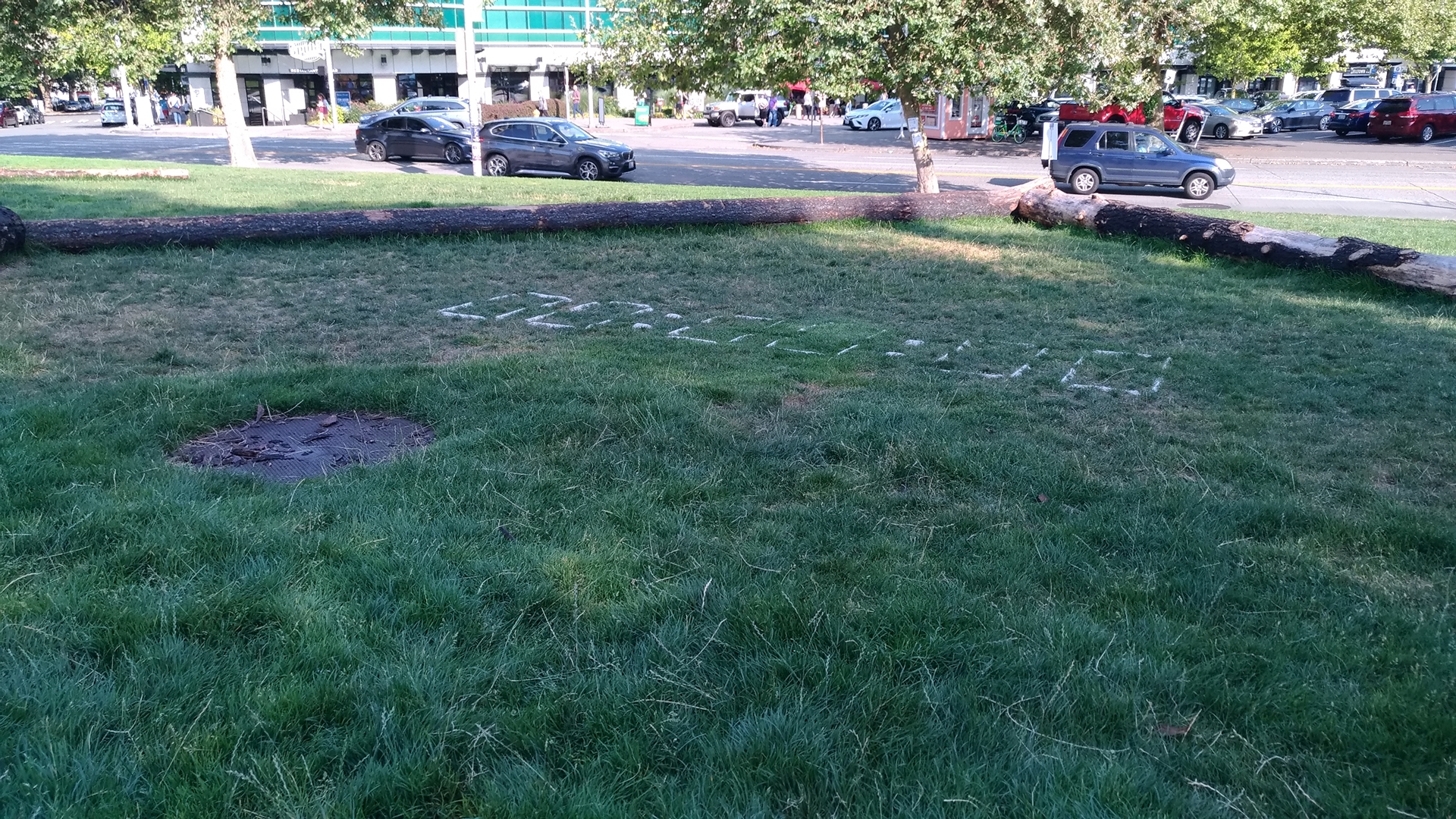 P_20190802_172938_vHDR_Auto.jpg
