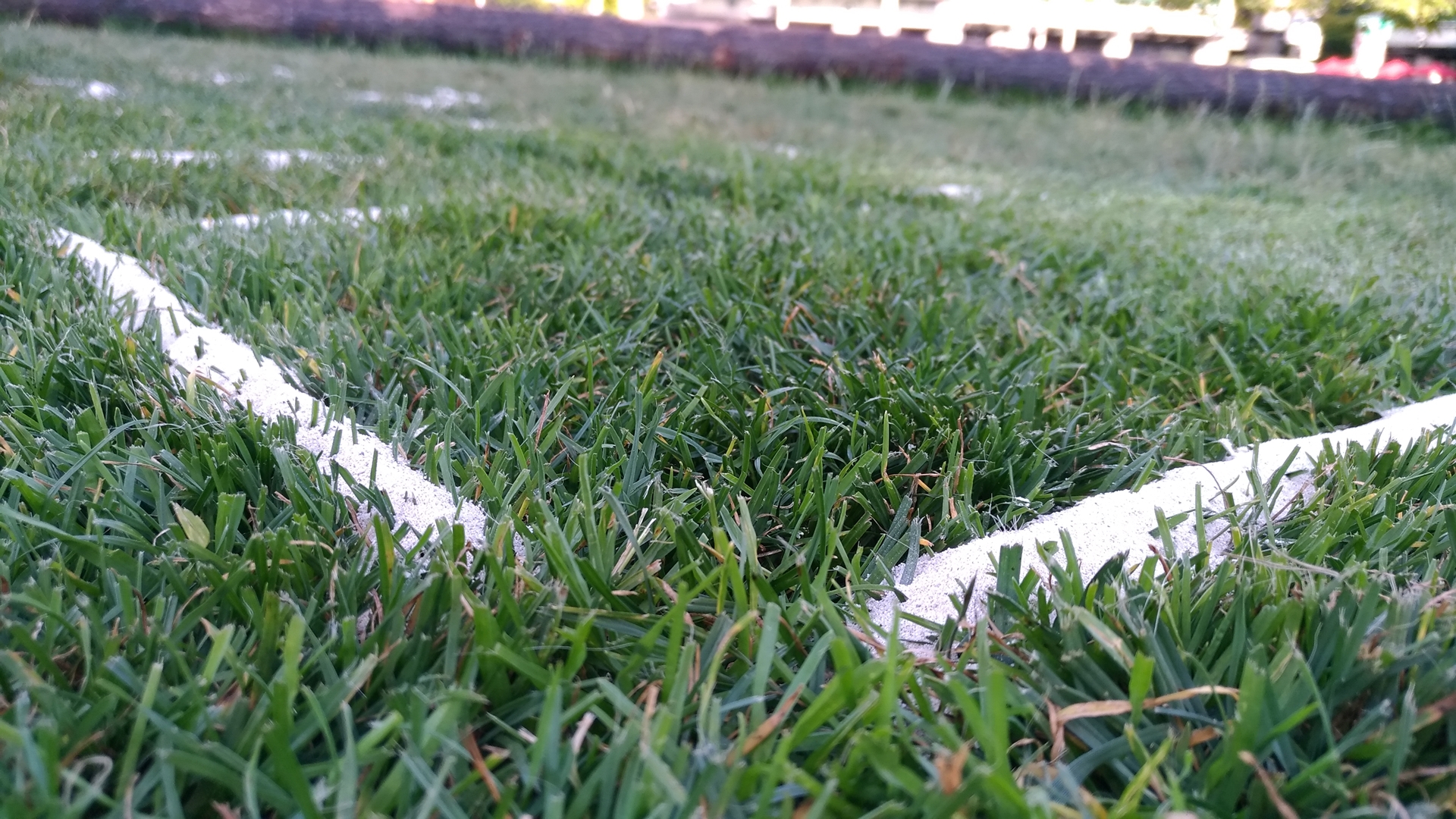 P_20190802_180051_vHDR_Auto.jpg