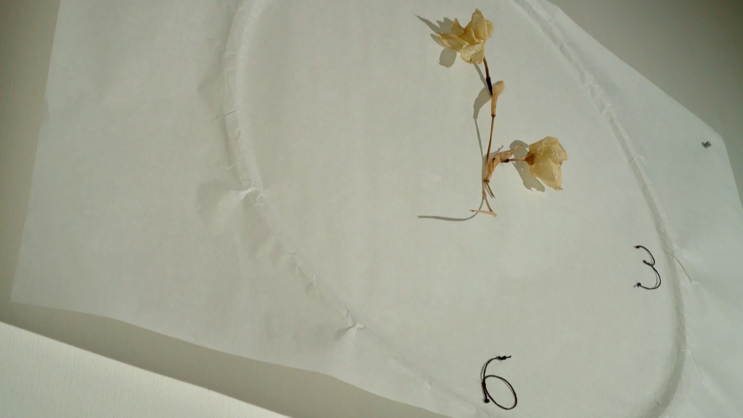 A fictional clock in Mizzonk's automated installation H O M E ≠ H•O•M•E. 
The clock's ticking was constant and loud, almost soothing, strangely. It was the one thing I stared at most often, waiting for what each hour would bring. 
Though the clock