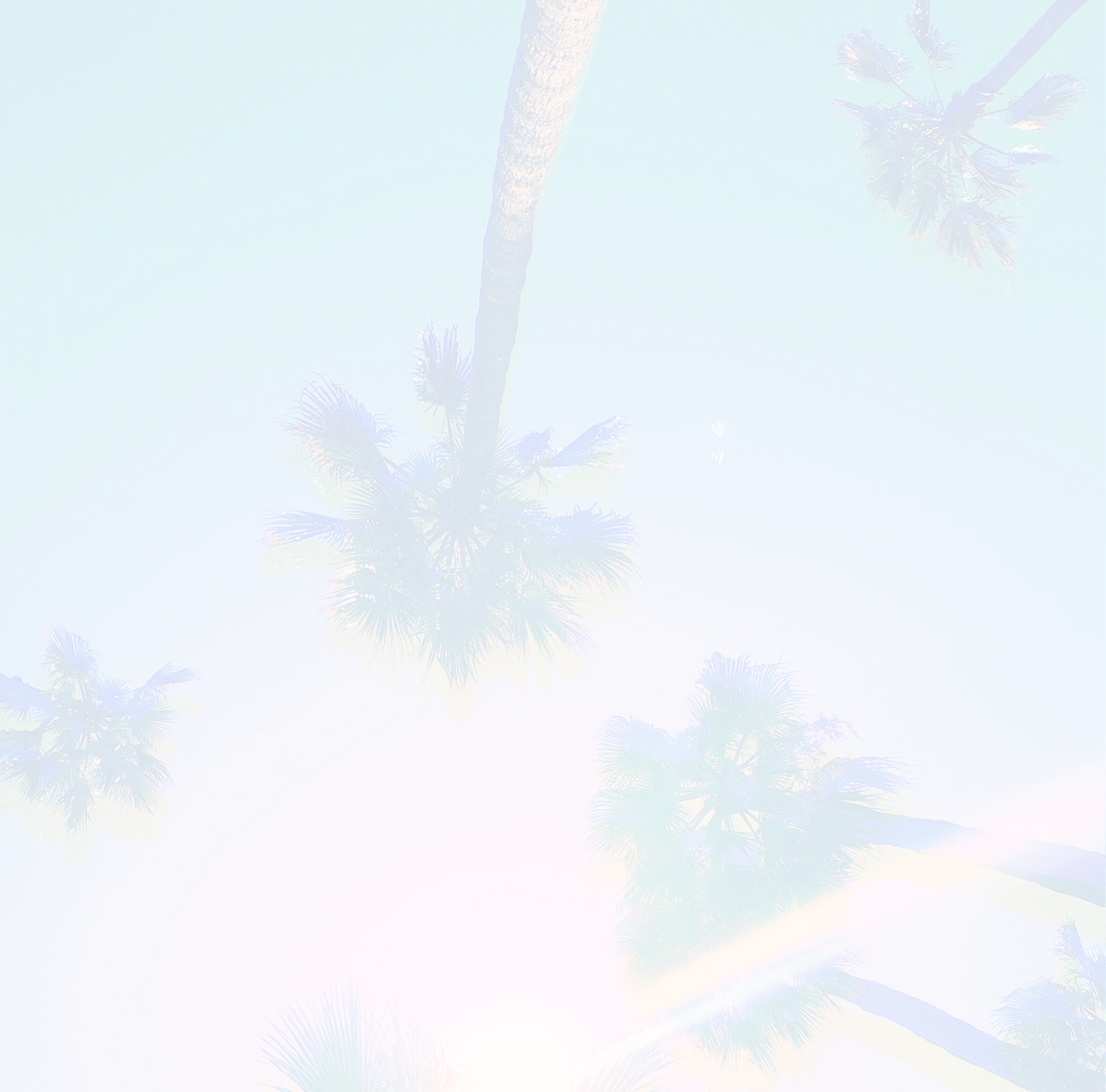Bandcamp---In-CA---Full-Background2-whitelayerover.jpg