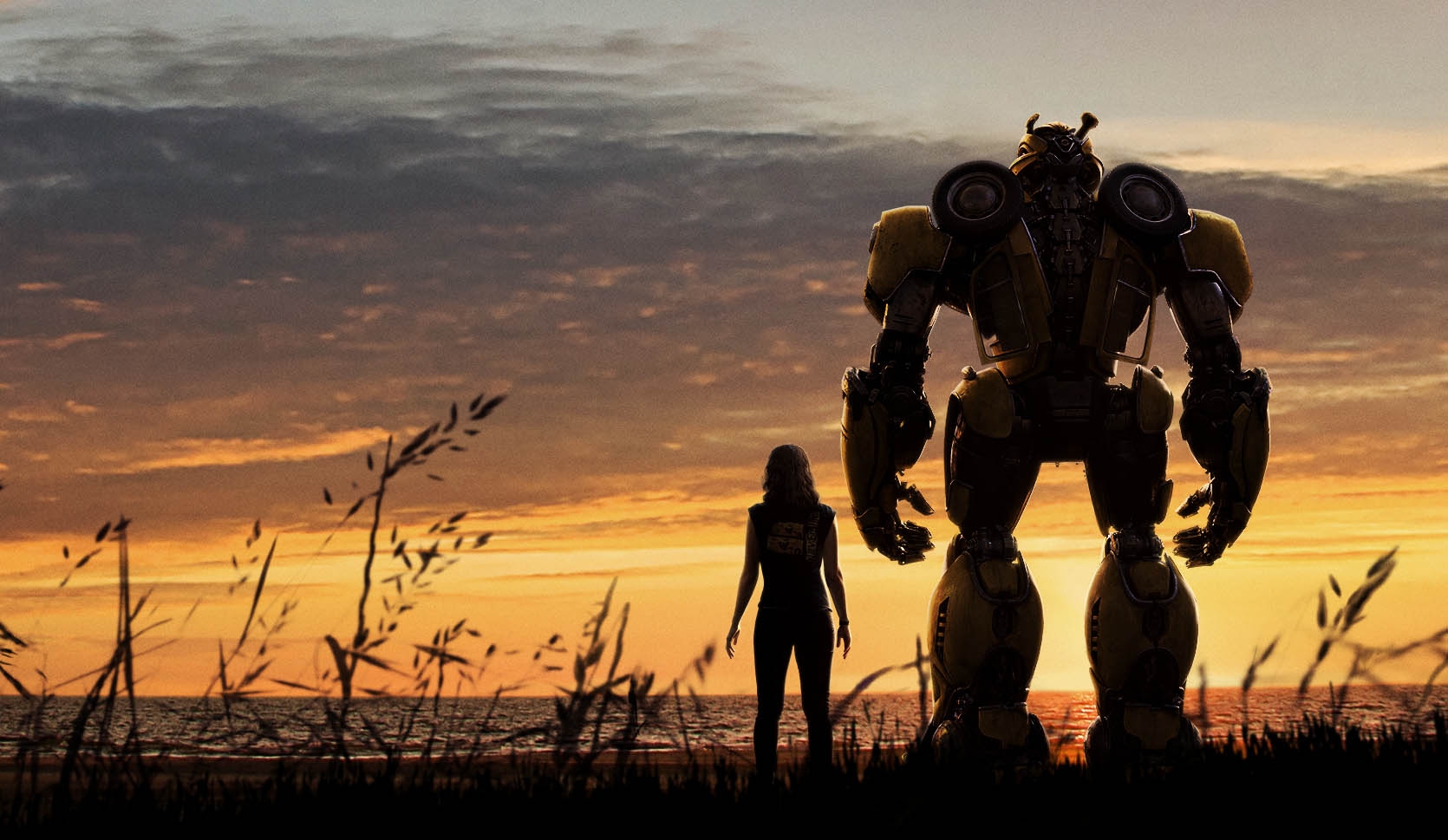bumblebee-BB_Online_Dom_Vertical_Teaser_Sunset_rgb.jpg
