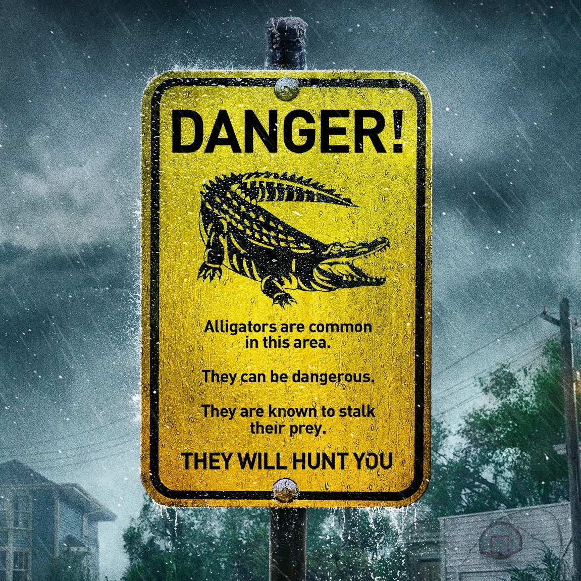 REVIEW: Alexandre Aja's Crawl 