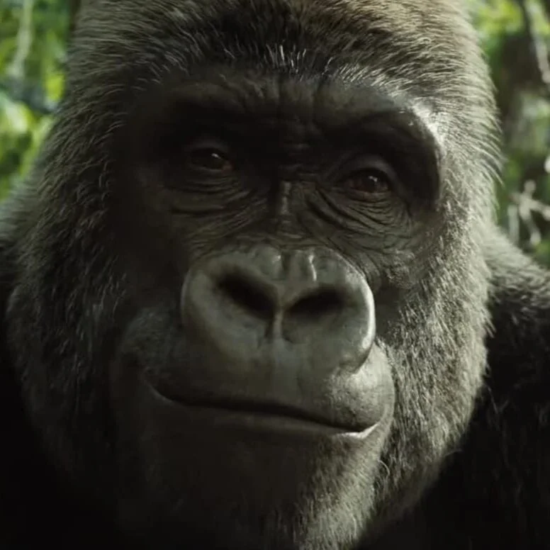 REVIEW: Thea Sharrock's The One and Only Ivan 