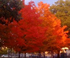 Sitting in The Waiting Room of His Promises