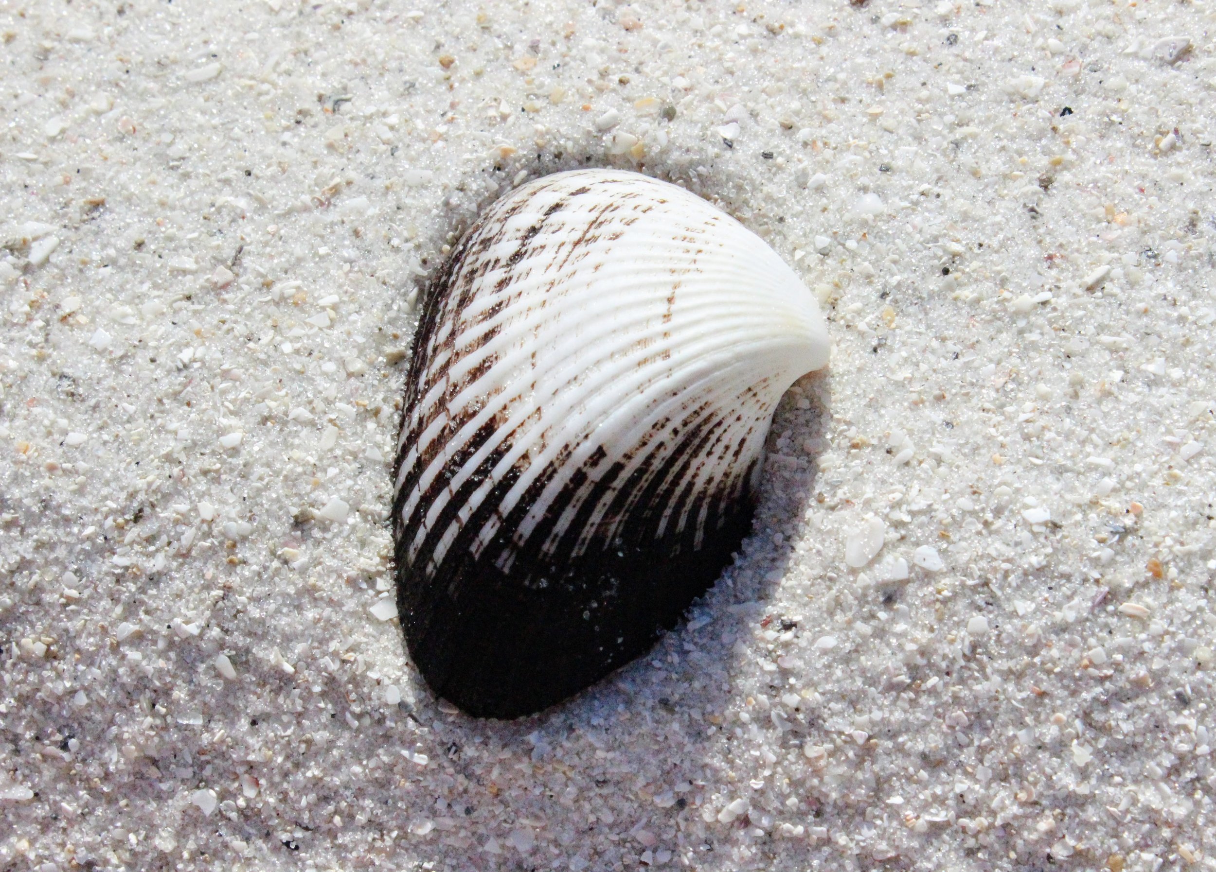 First Things First...