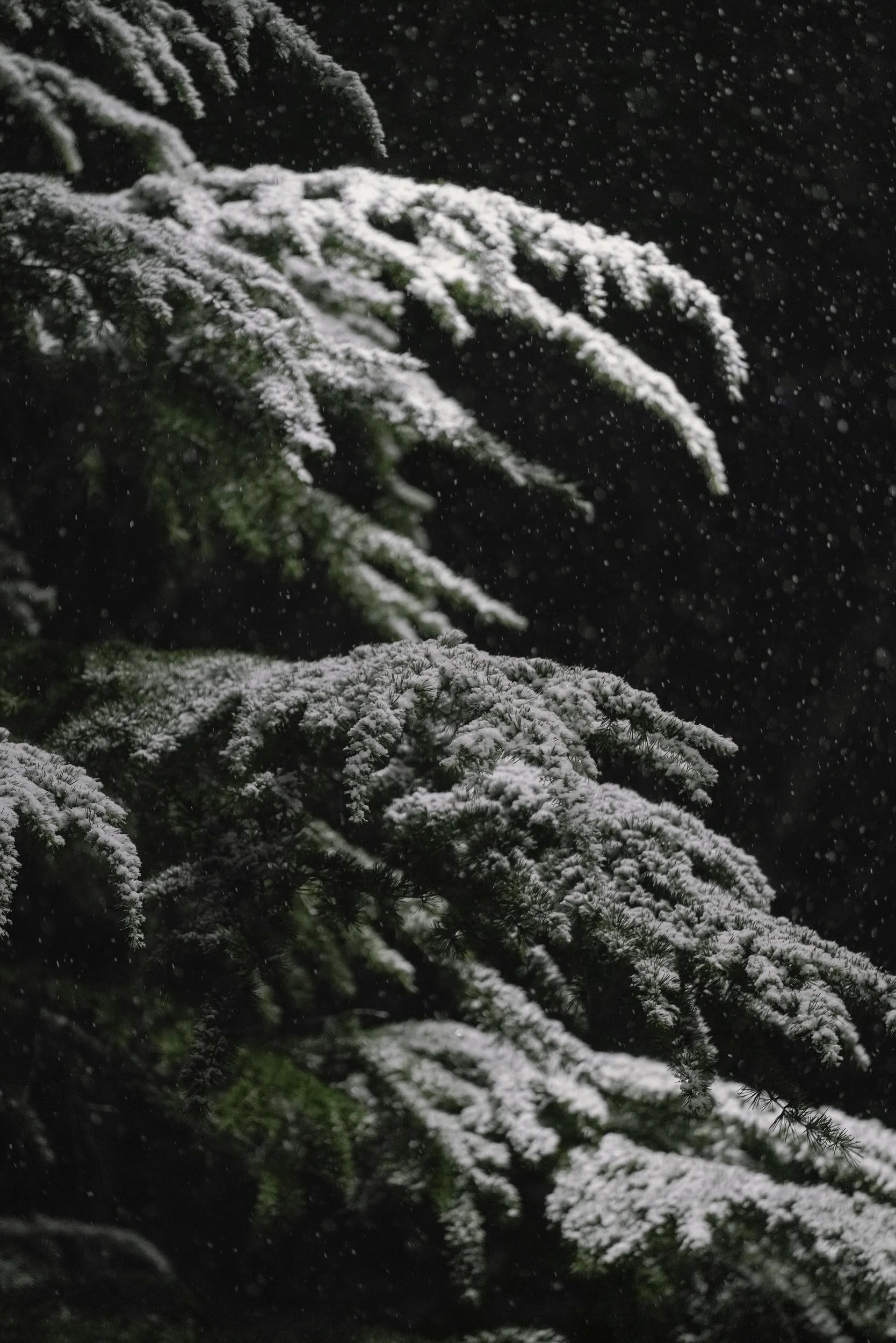 A Week for Silence