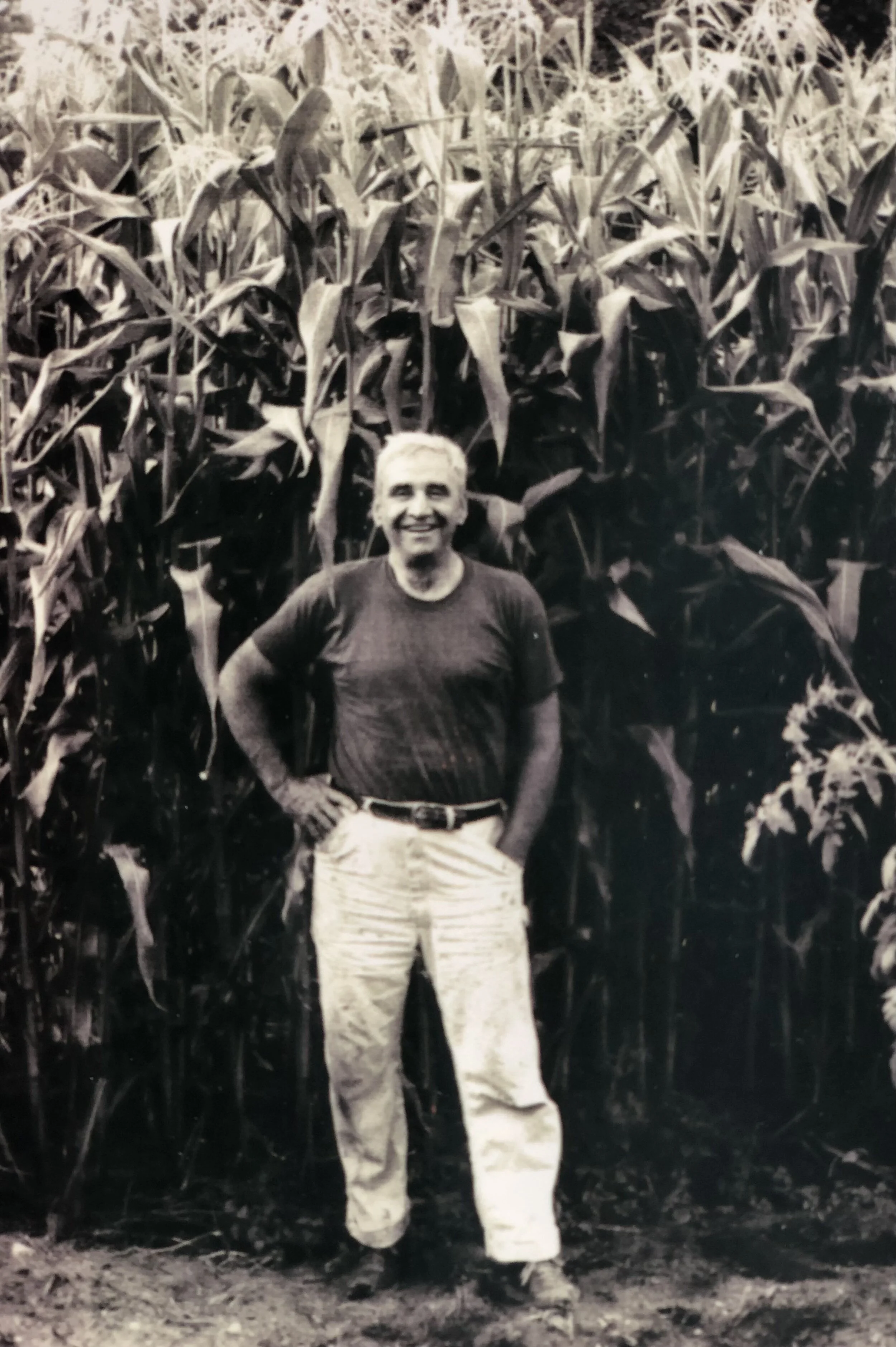 The Deep Roots of August