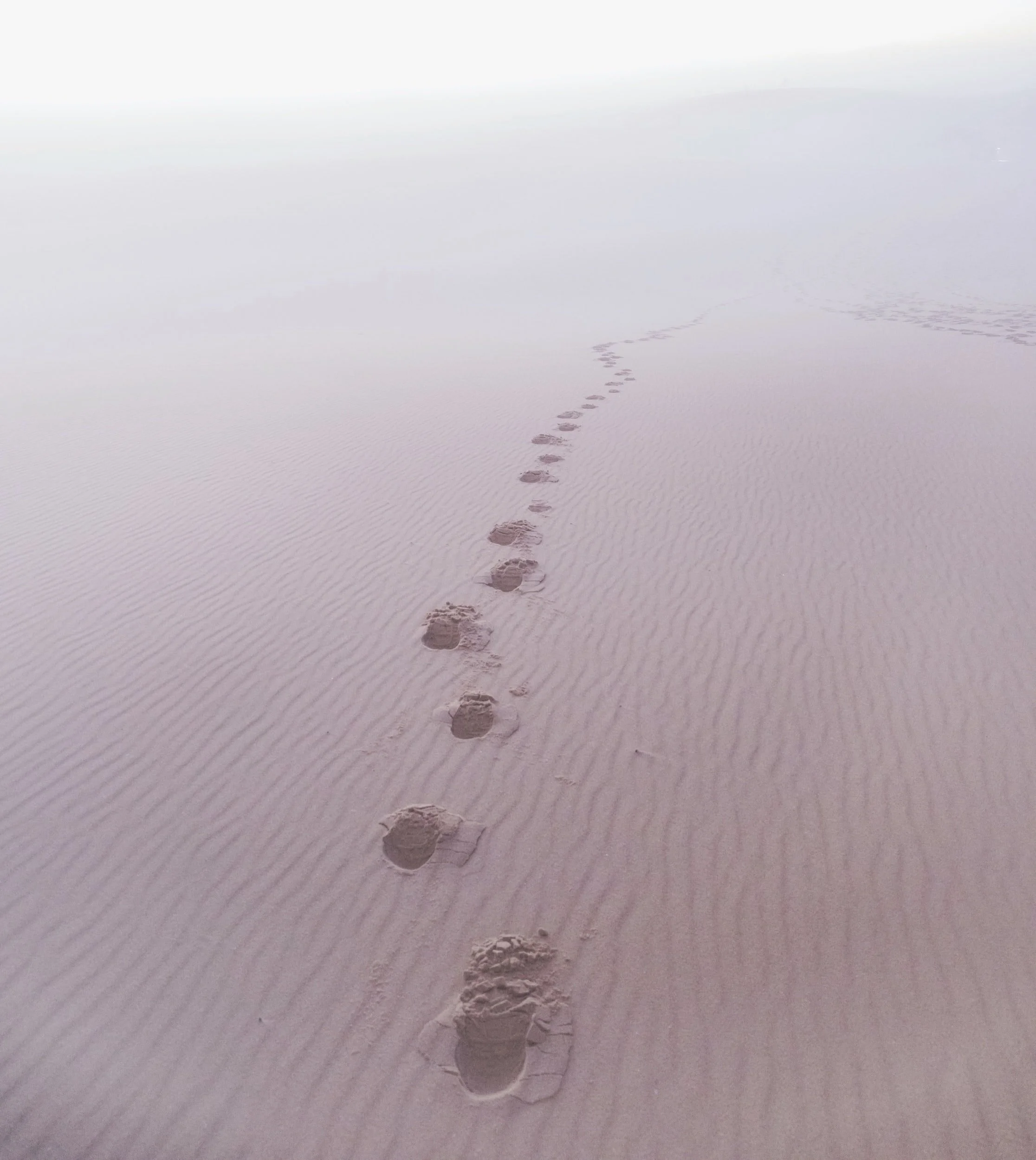 Footprints in the Sand
