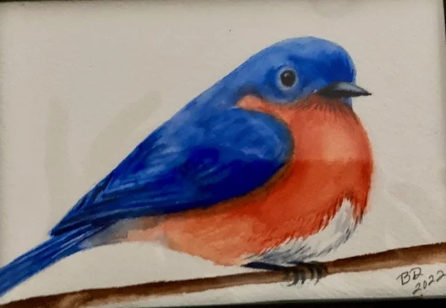 To Bring Beauty and Healing....