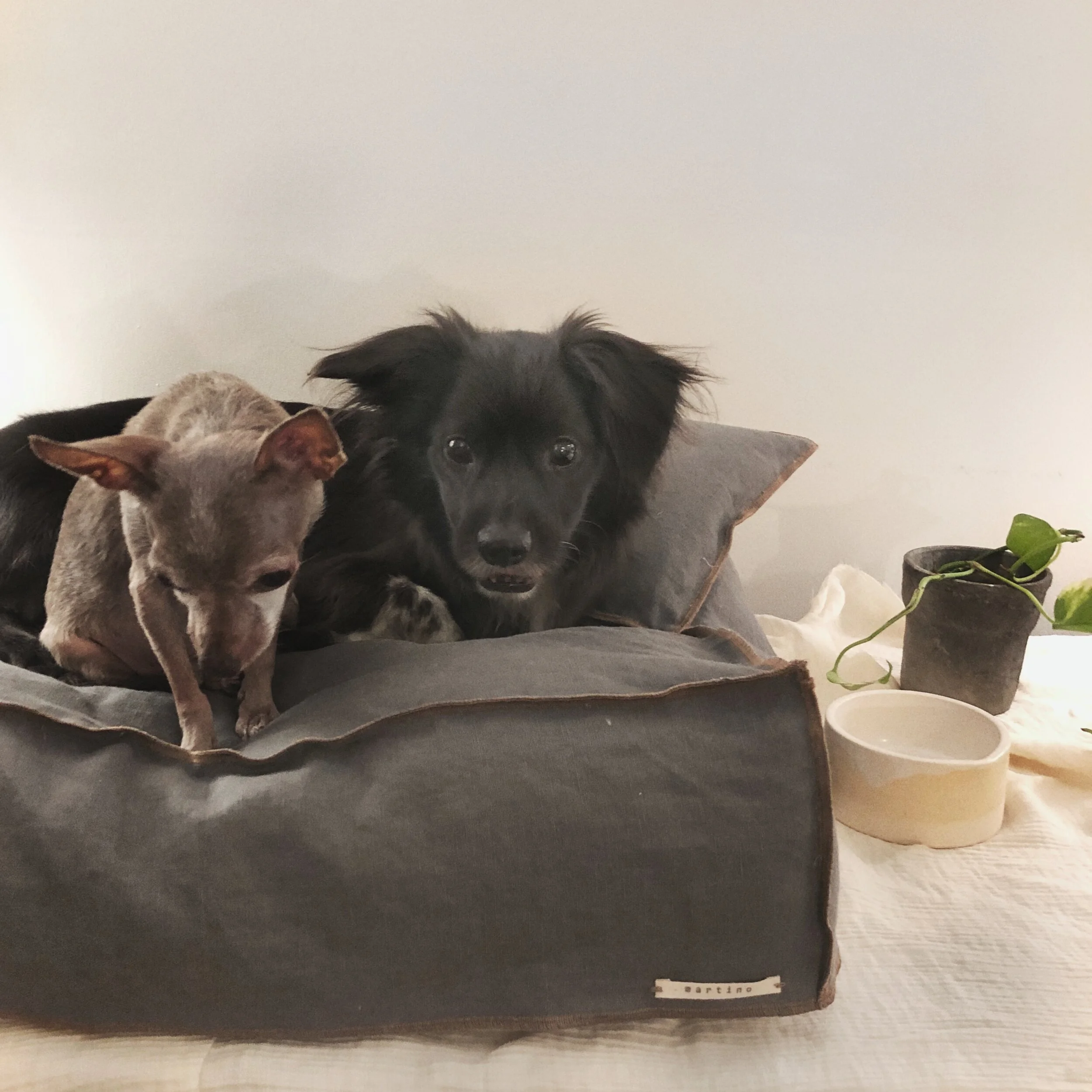 square dog bed