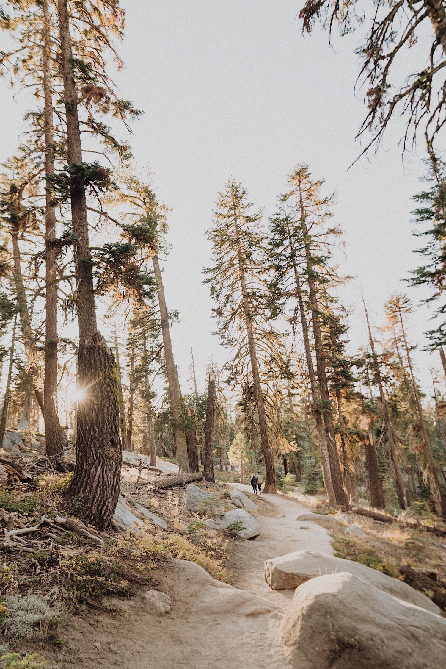 Taft Point Hike