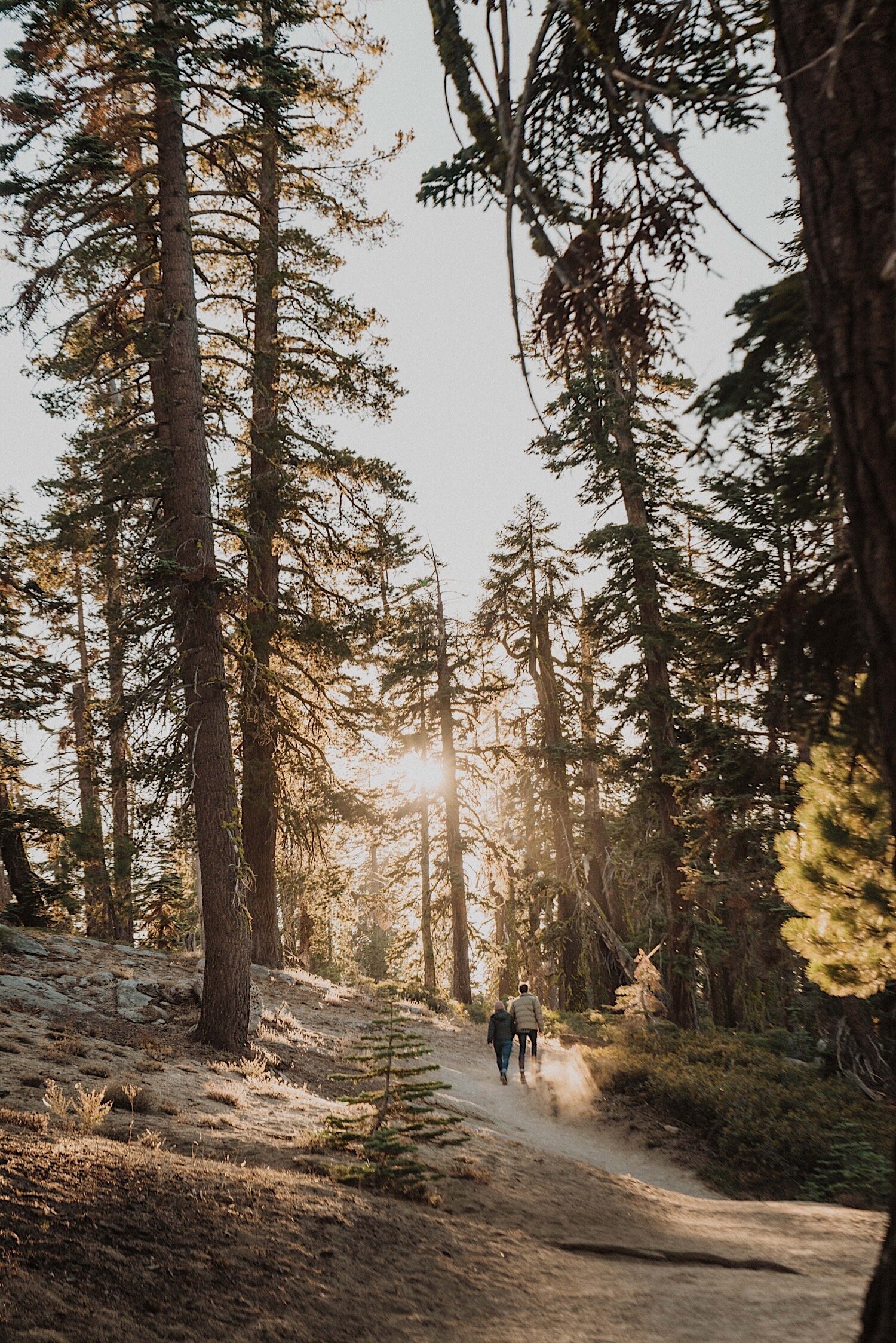 Yosemite National Park Proposal