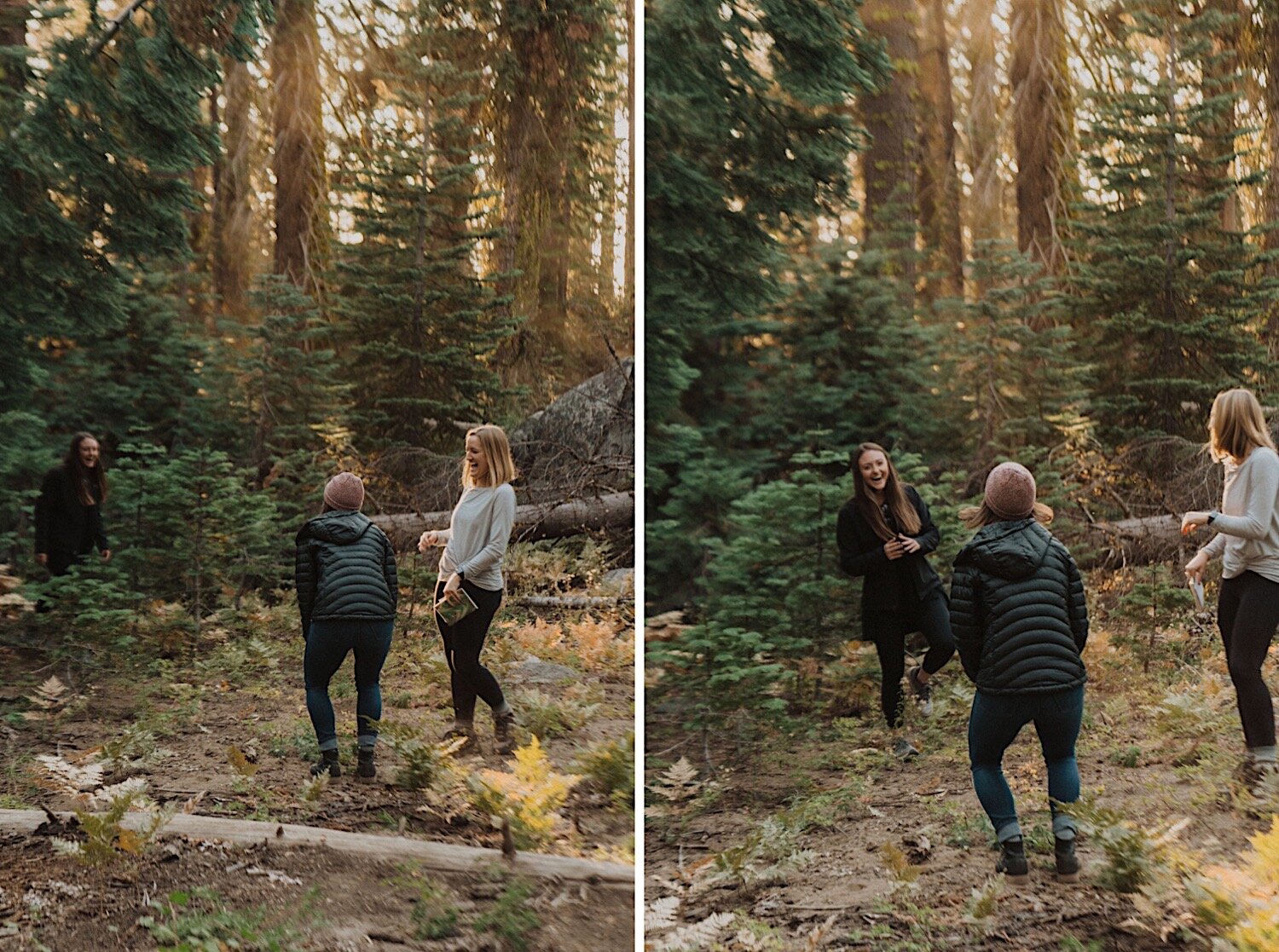 Yosemite National Park Surprise Proposal