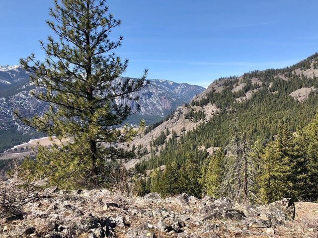 Found a great new lunch spot today.