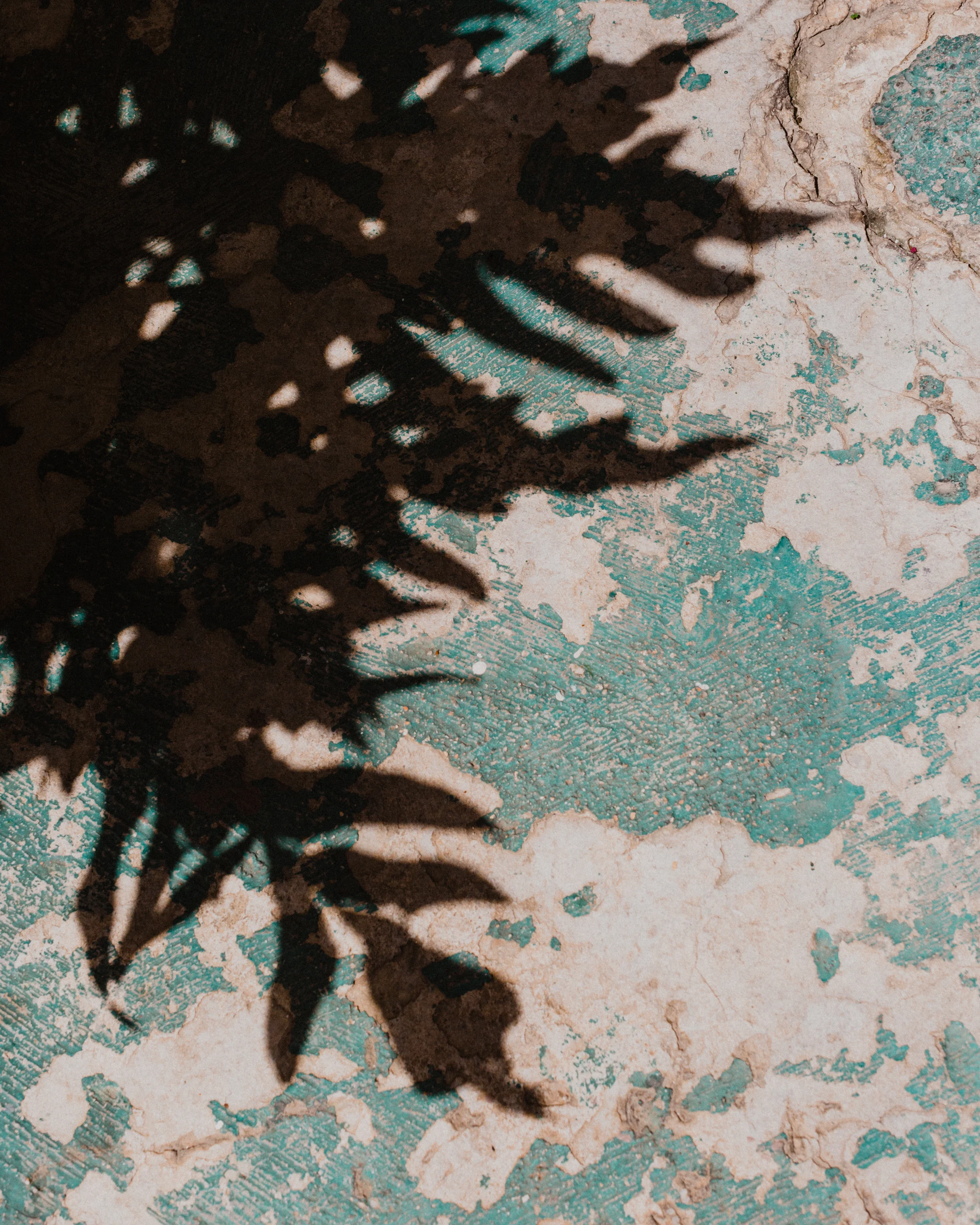 CMR-OO-Cuba-Feb2019-8792.jpg
