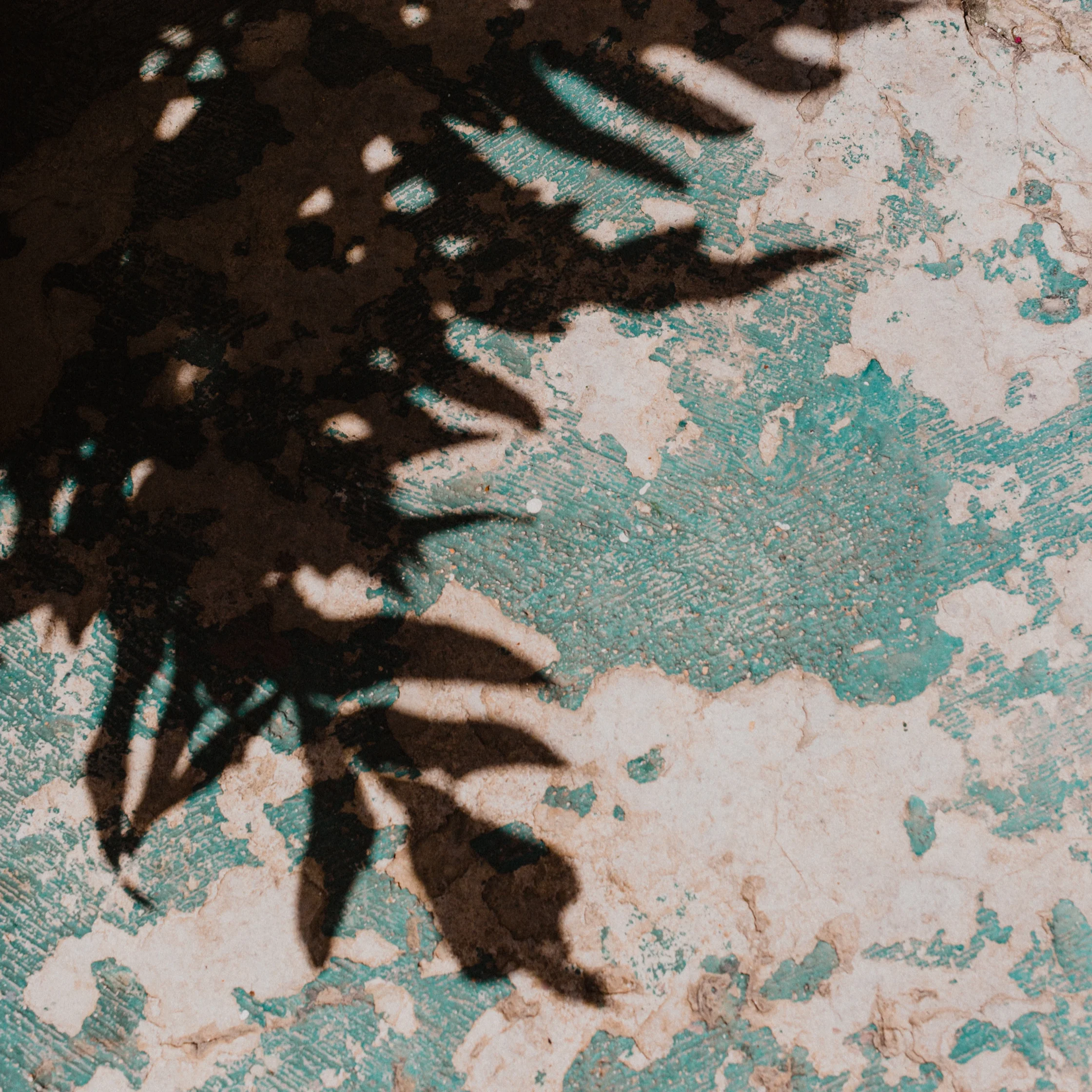 CMR-OO-Cuba-Feb2019-8792.jpg