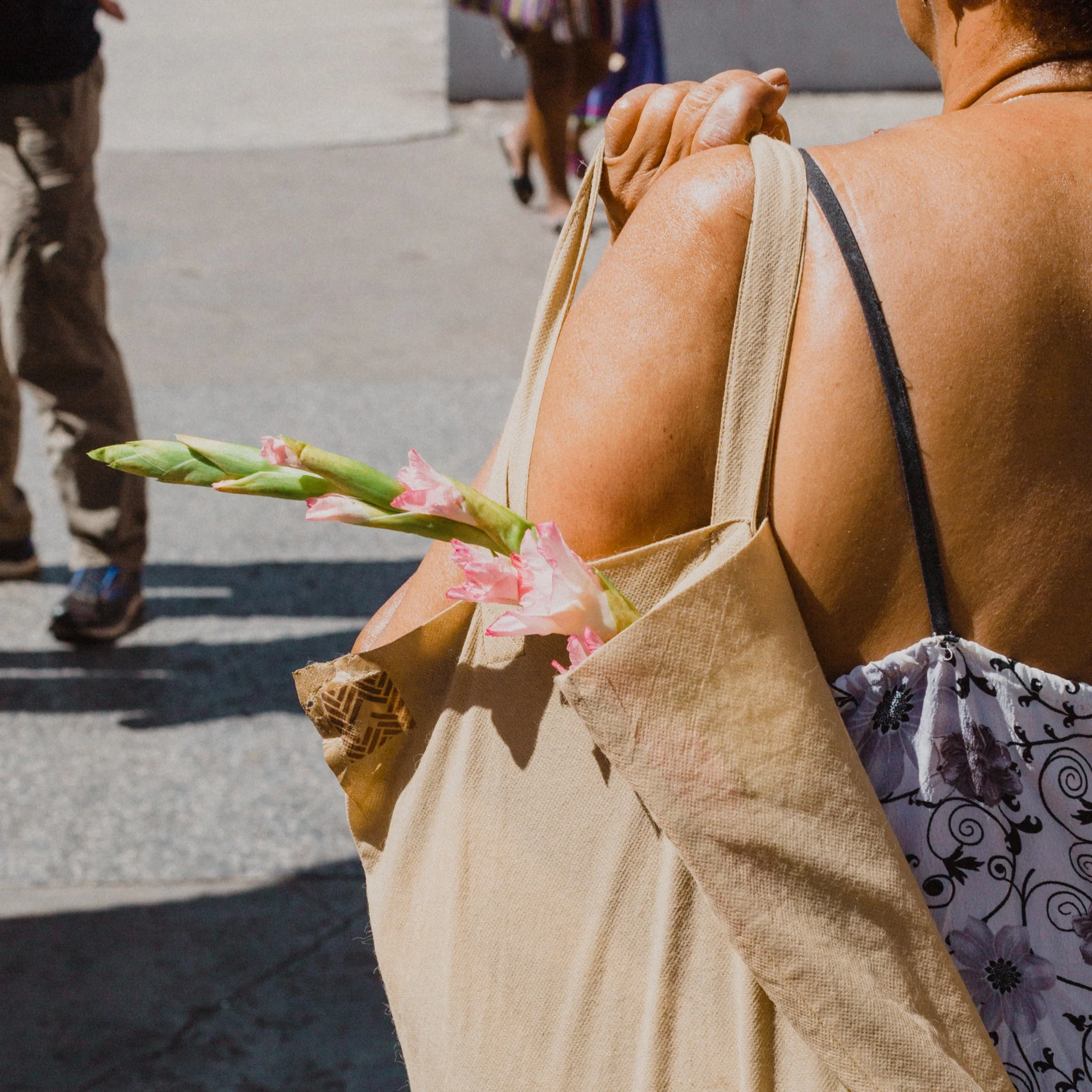 CMR-OO-Cuba-Feb2019-8620.jpg