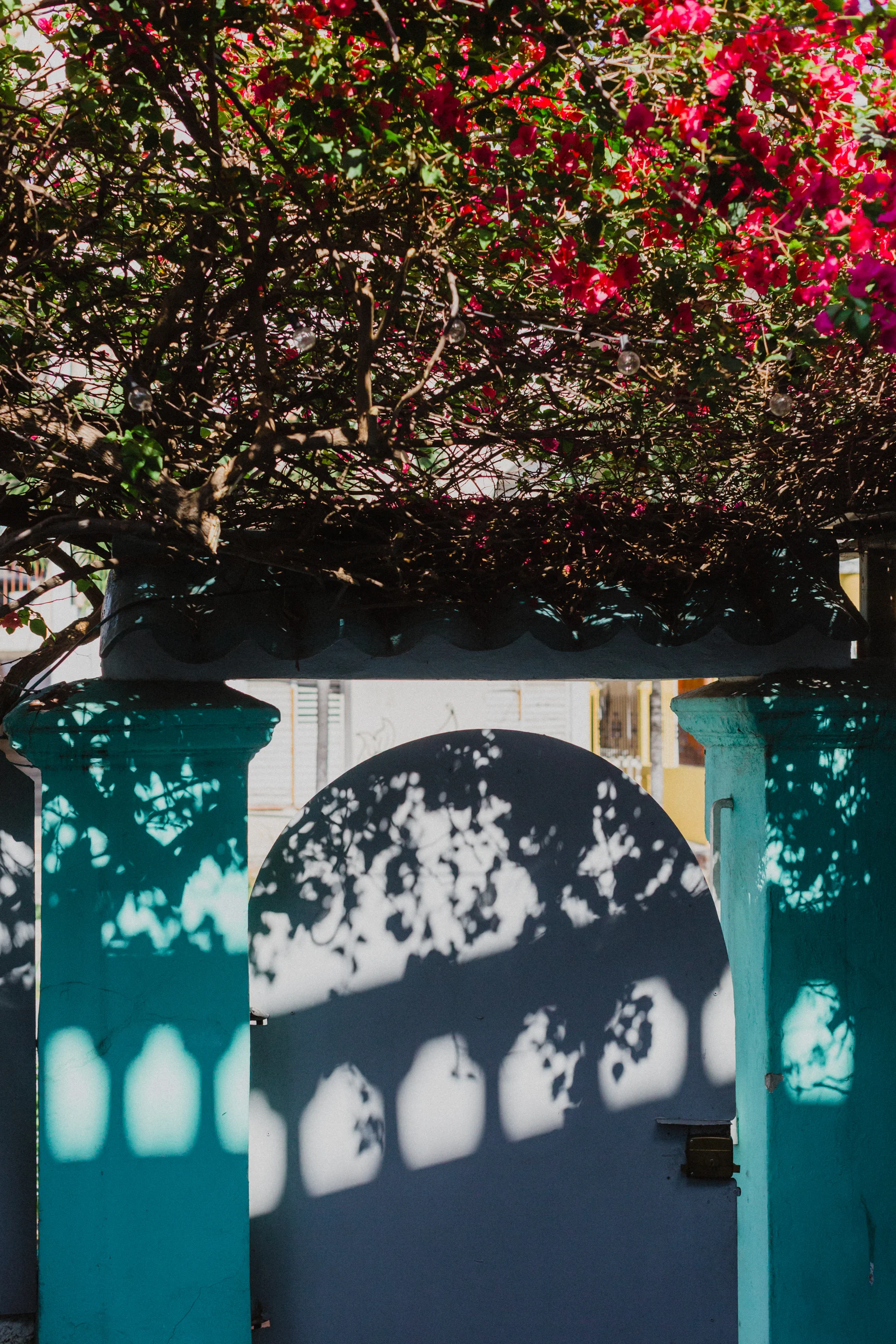 CMR-OO-Cuba-Feb2019-0293.jpg