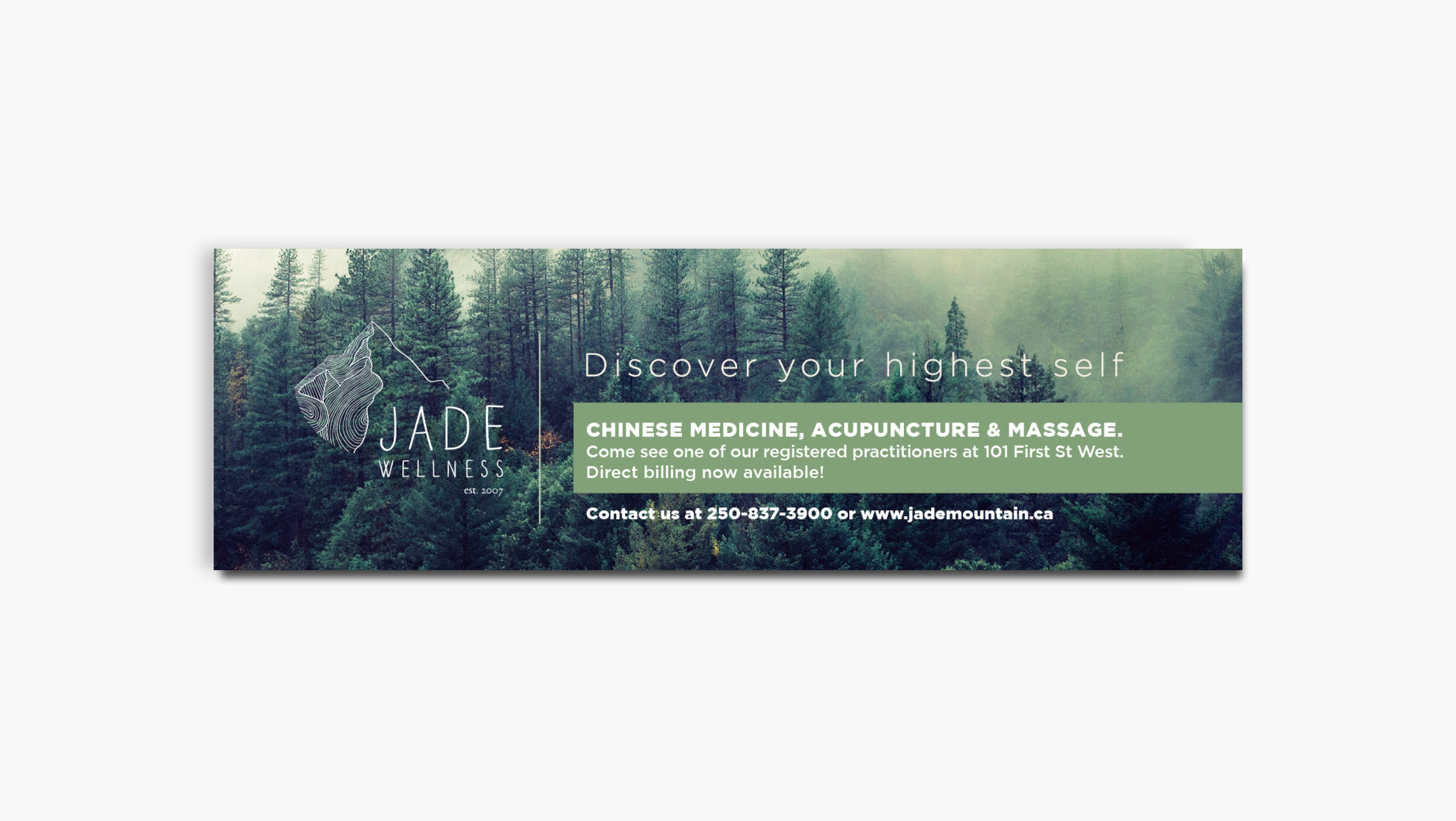 Claudia Bambi Layout Portfolio7.png