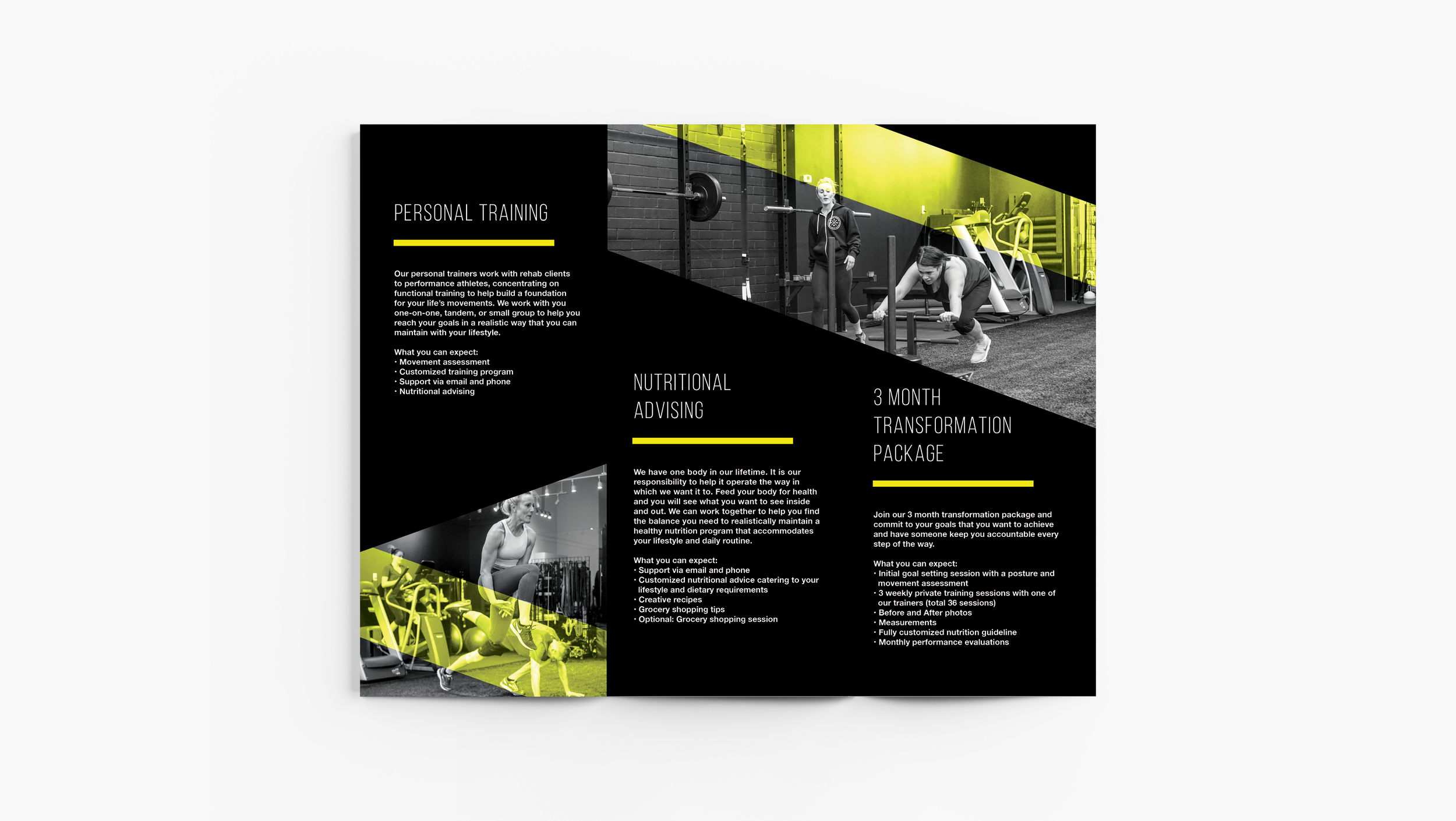 Claudia Bambi Layout Portfolio-New Edge3.png