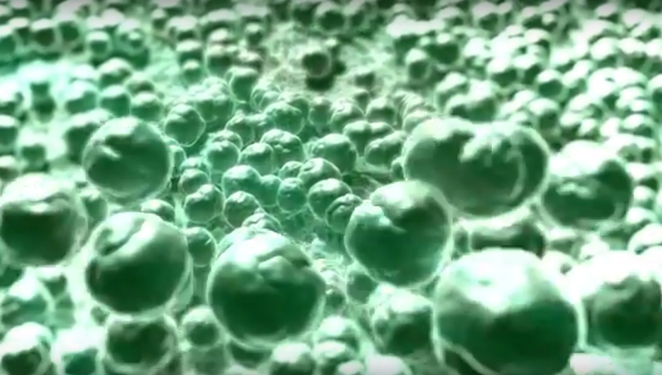 carbon removal.jpg