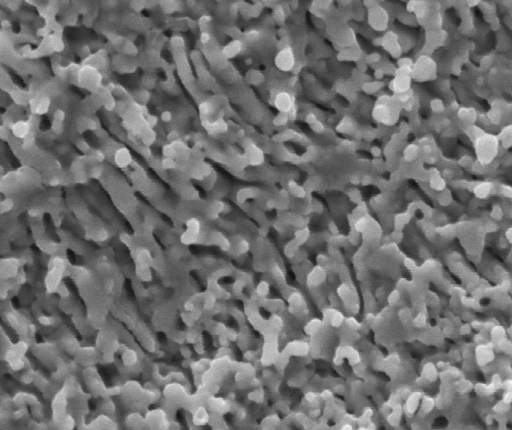   Networked nano-pillar structures created on zirconia  
