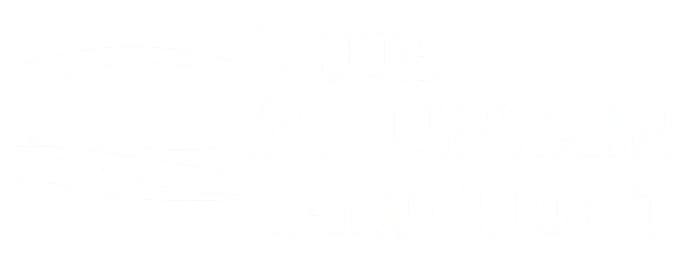 BMLT copy.png