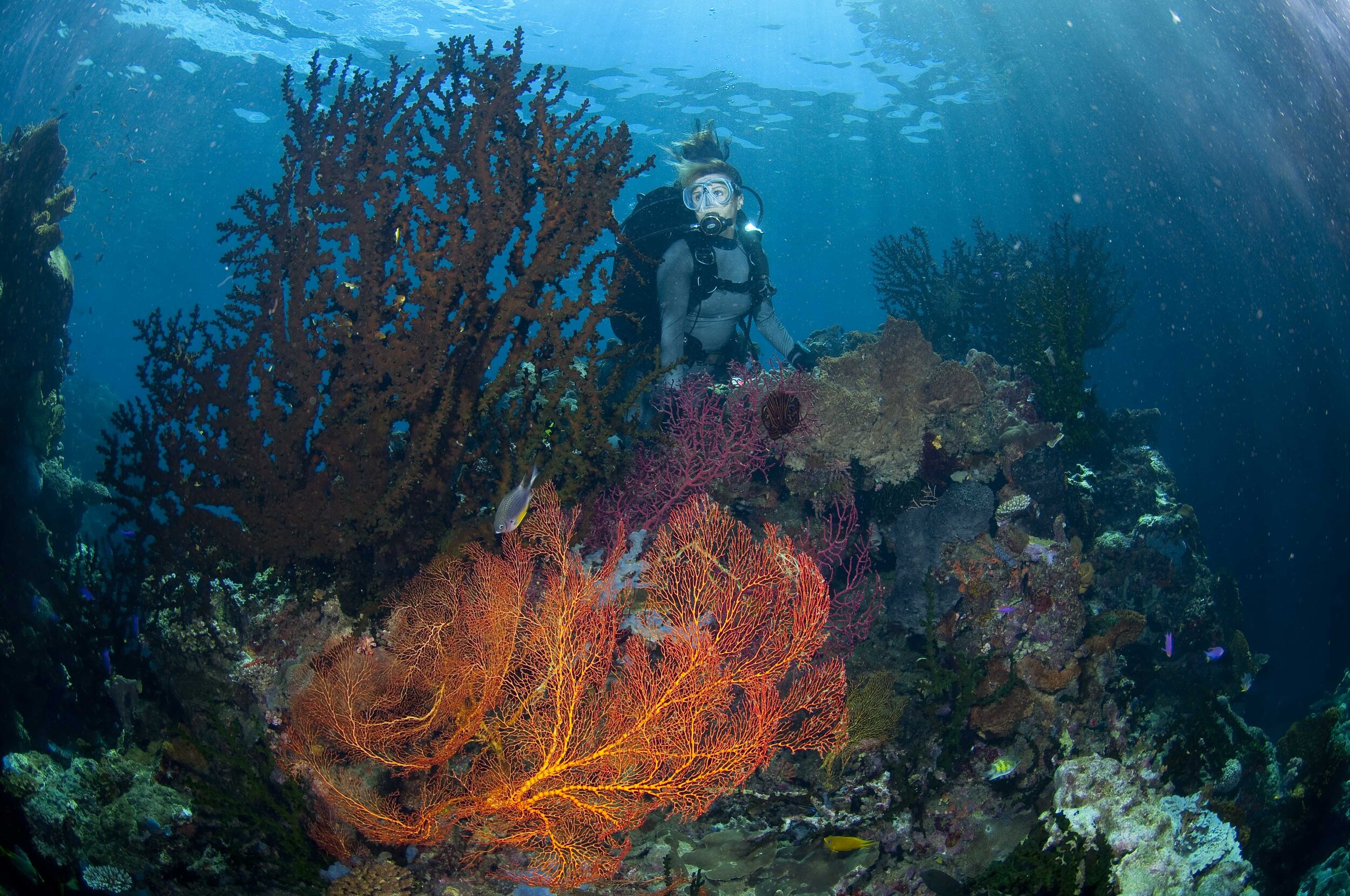 Deacons Reef Milne Bay_DSX_7587.jpg