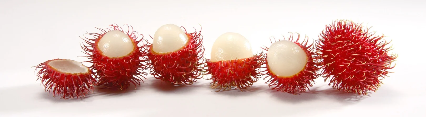 Hula_Web_Rambutan_Banner.jpg