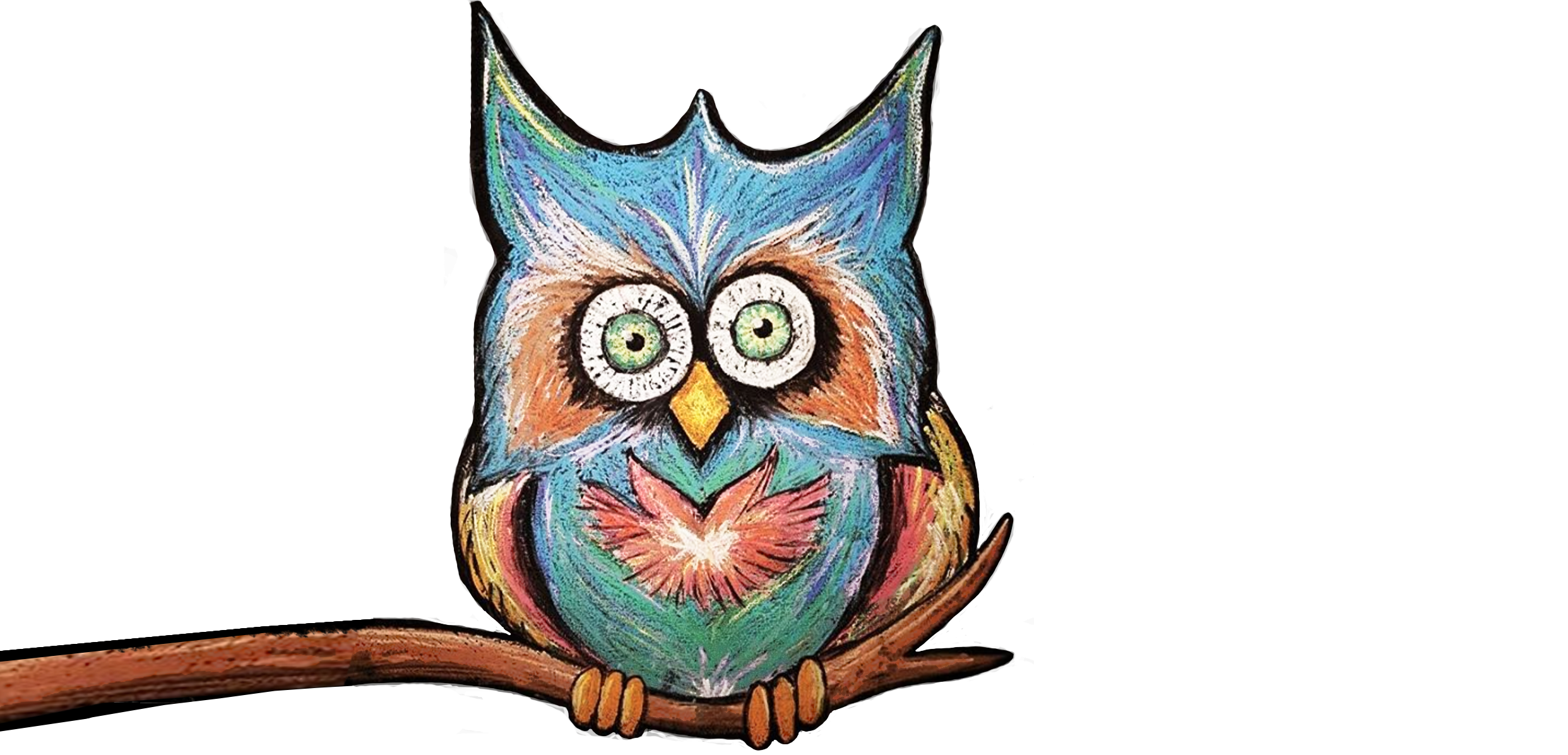 _Owl.png