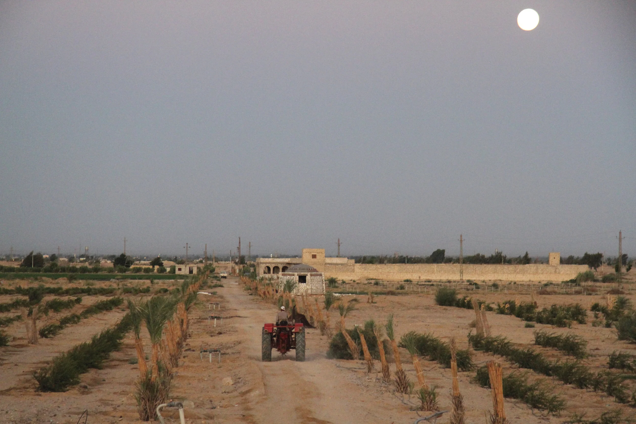 Minya Farm.JPG