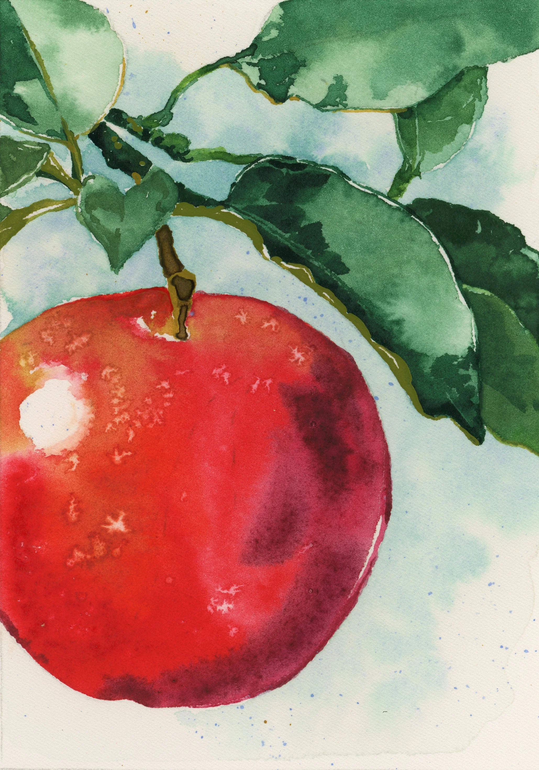 Apple.jpg