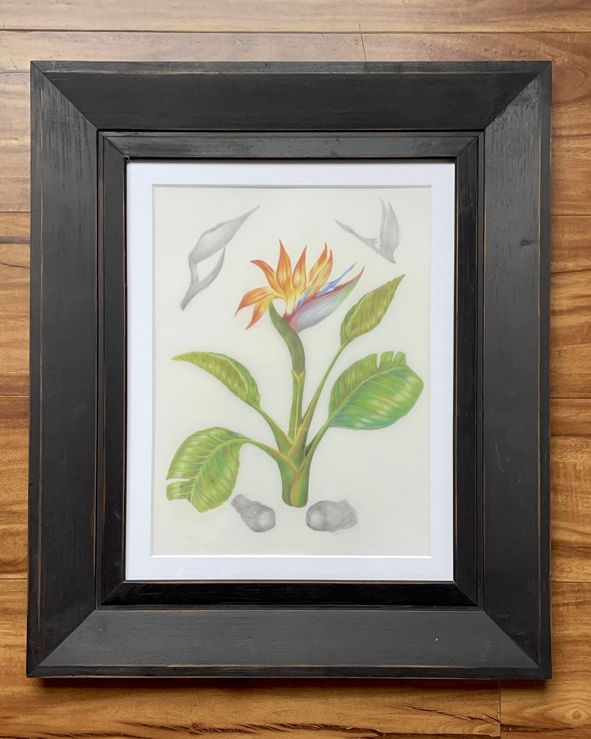 5B18E53C-B56E-4C73-A5CF-D42E663BC27B