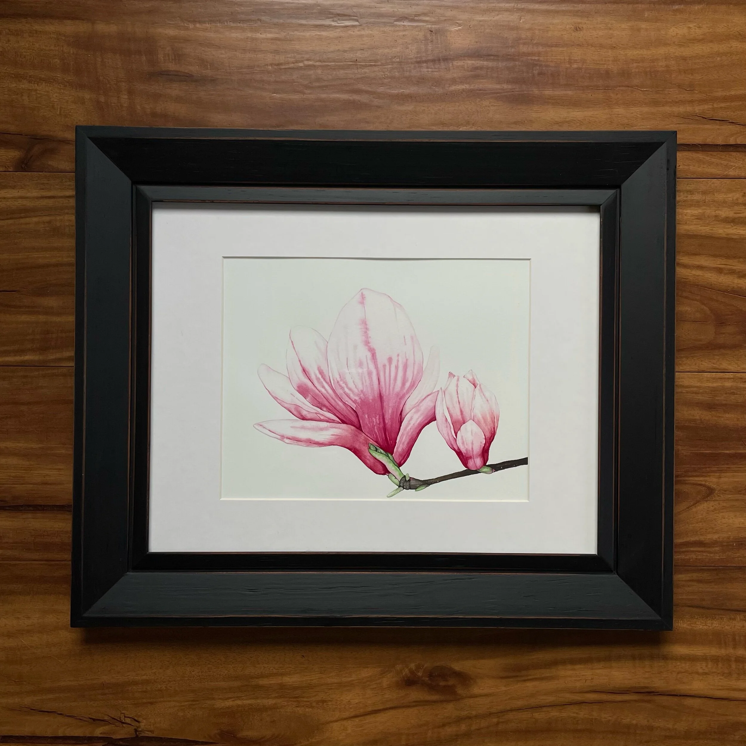 92EC981C-5F77-4238-A7C8-E97B5B436FEC