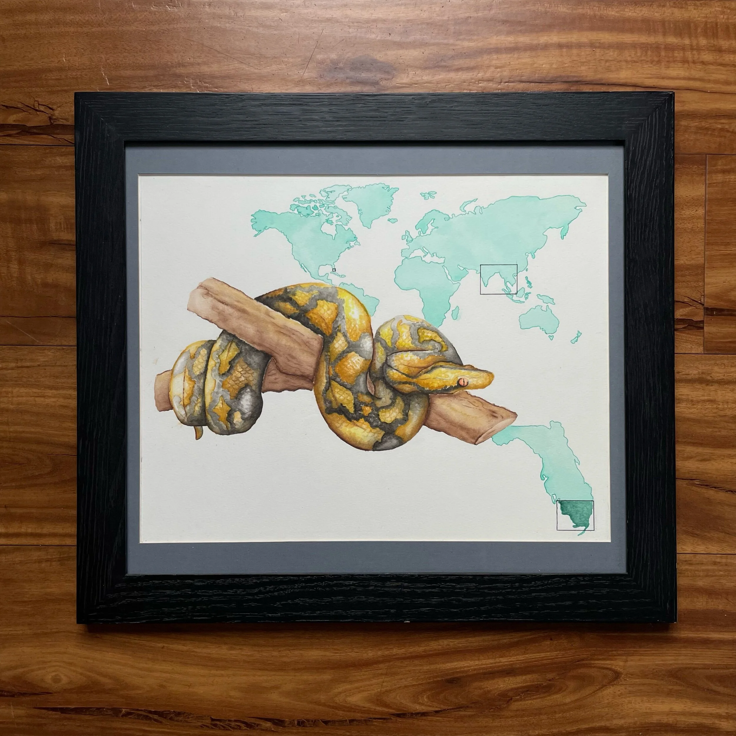 CDB91C7B-AFF5-4153-B742-412E848DDF5A