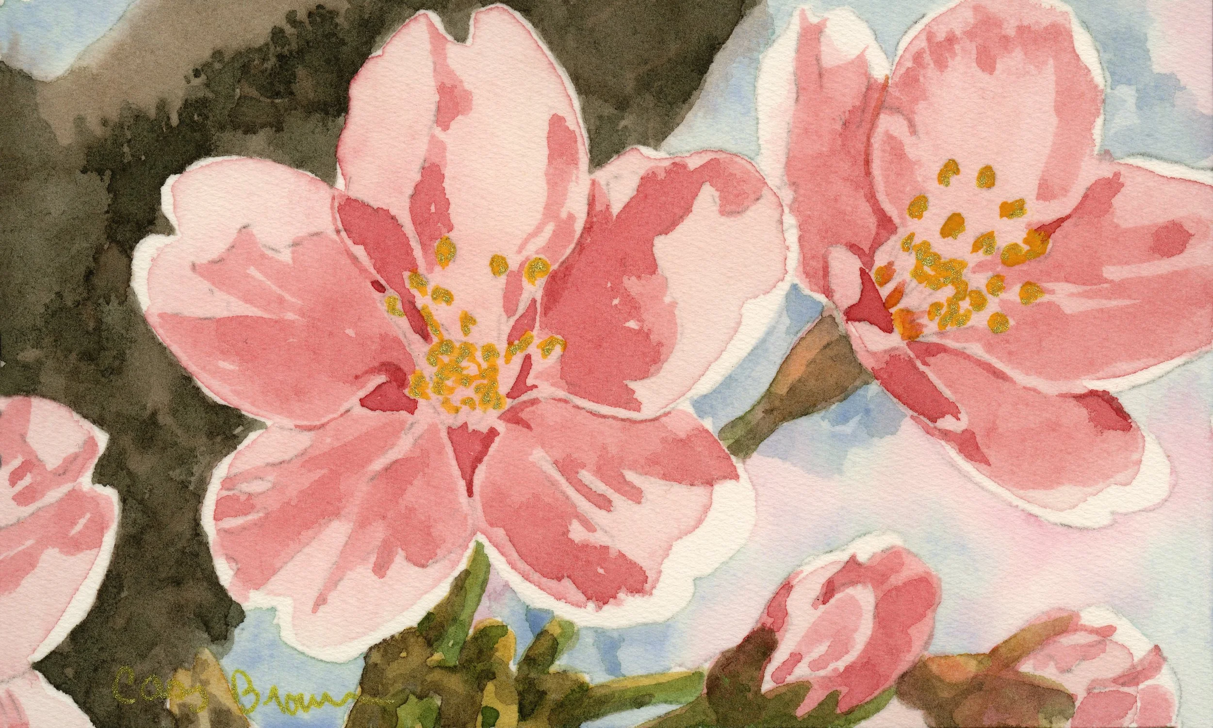Sakura II.jpg